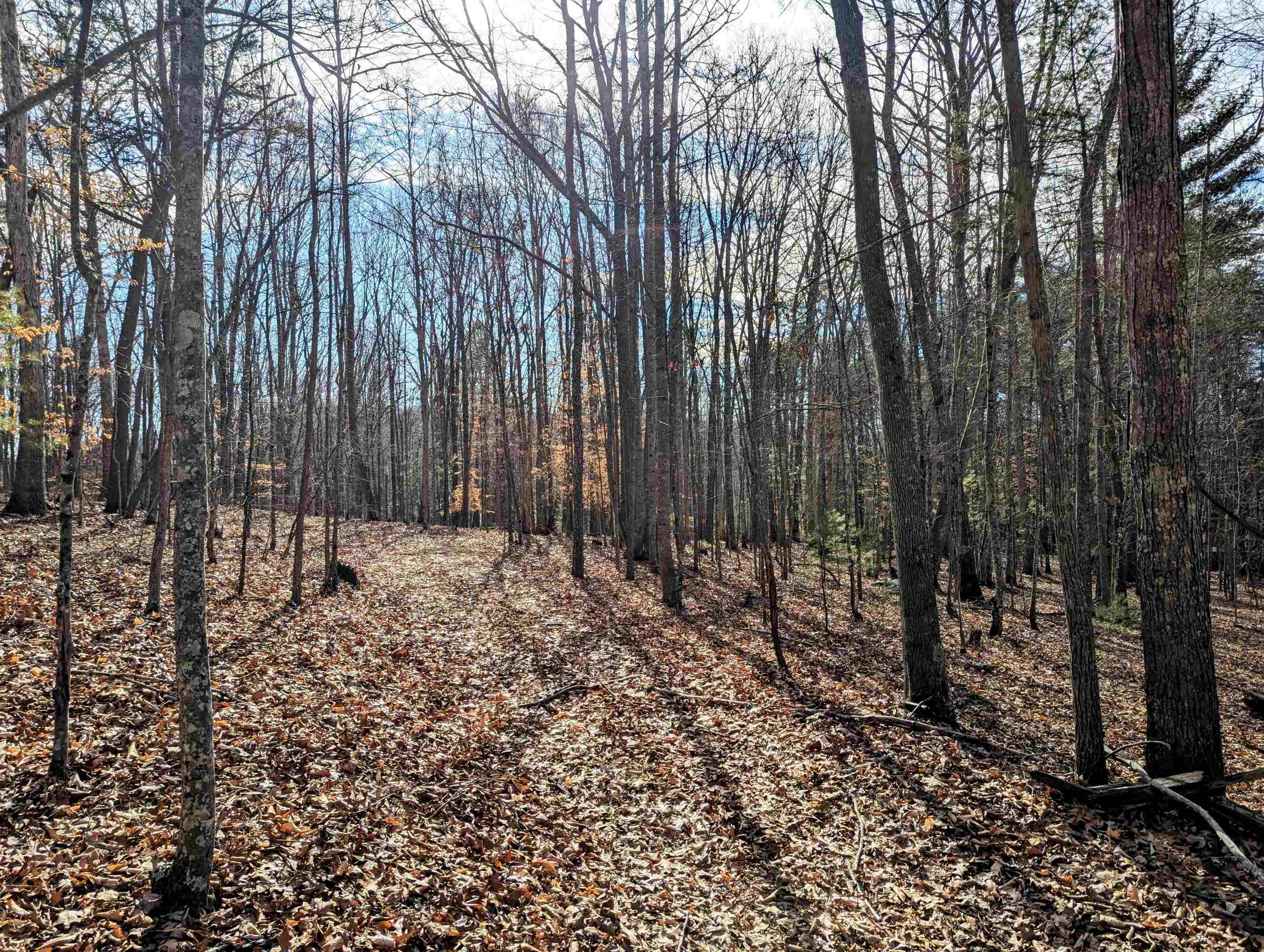 Allisonia, VA 24347,TBD Irish Mountain RD