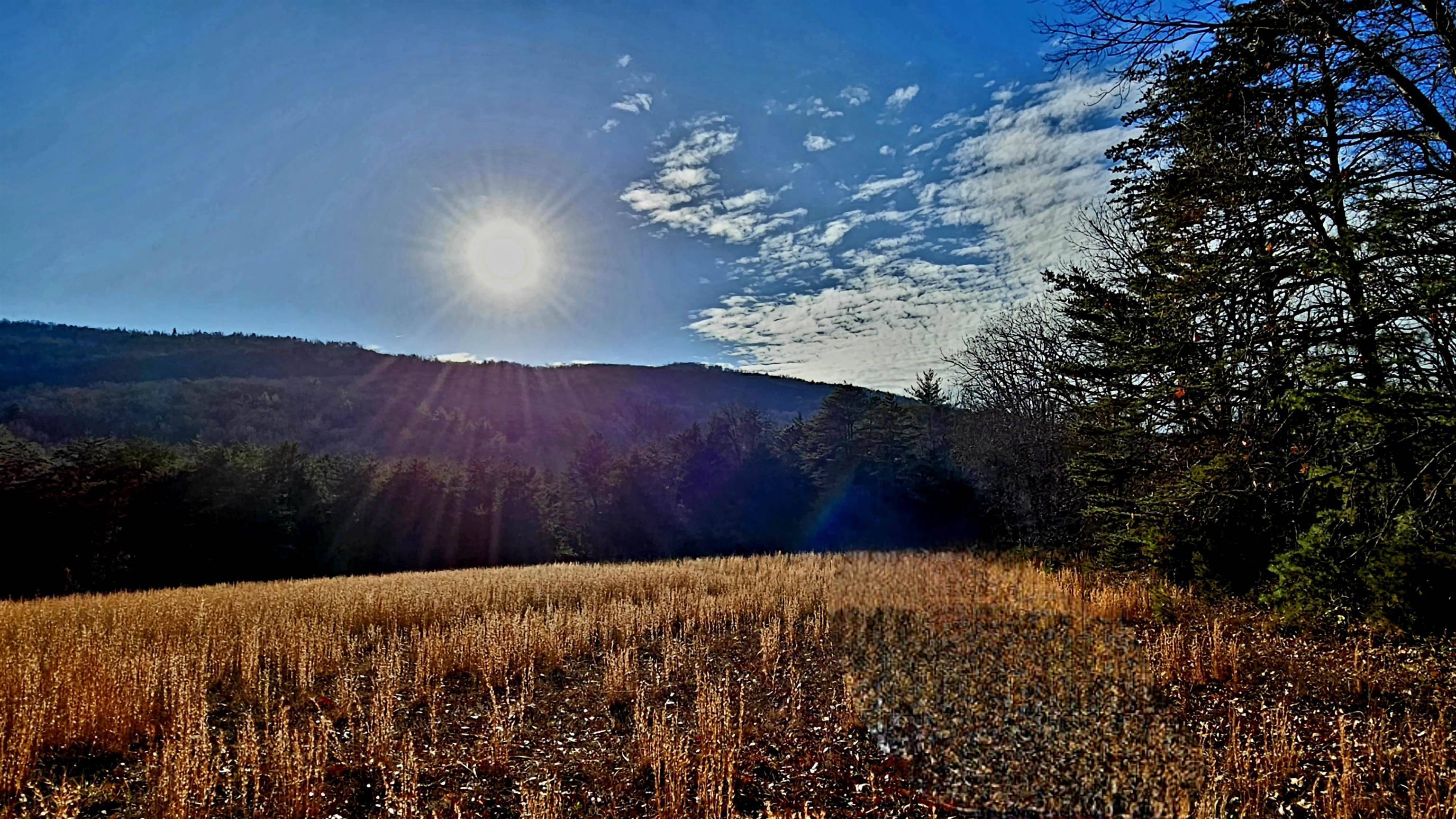 Elliston, VA 24087,tbd Reesedale RD