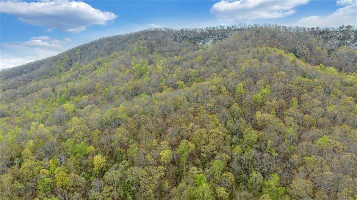 Parrott, VA 24132,TBD Parrott River RD