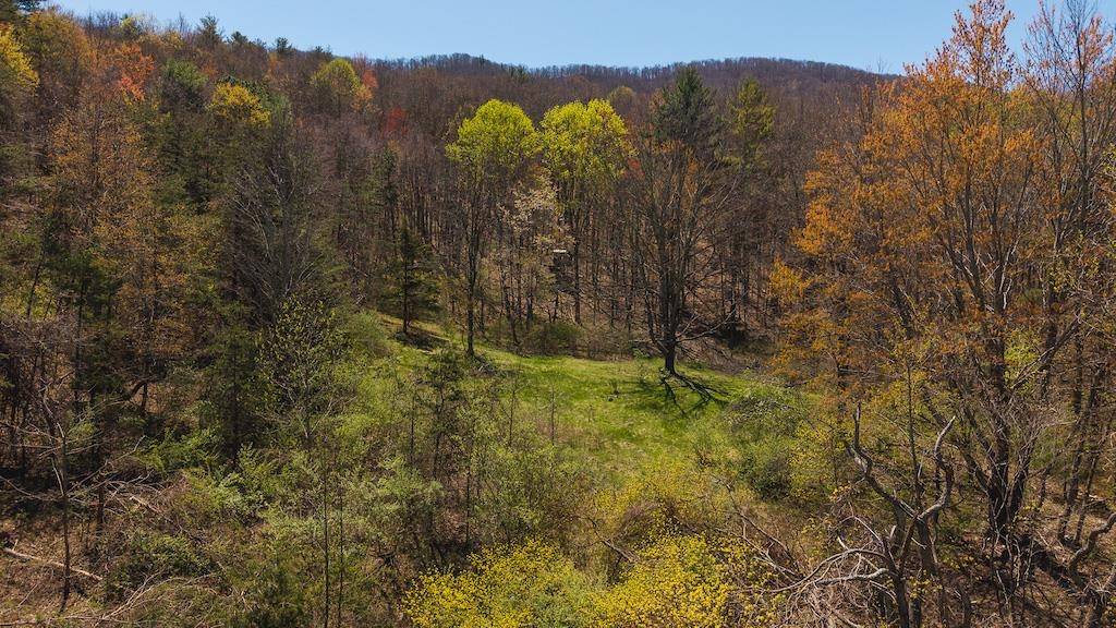 Bland, VA 24315,TBD Byrnes Chapel RD