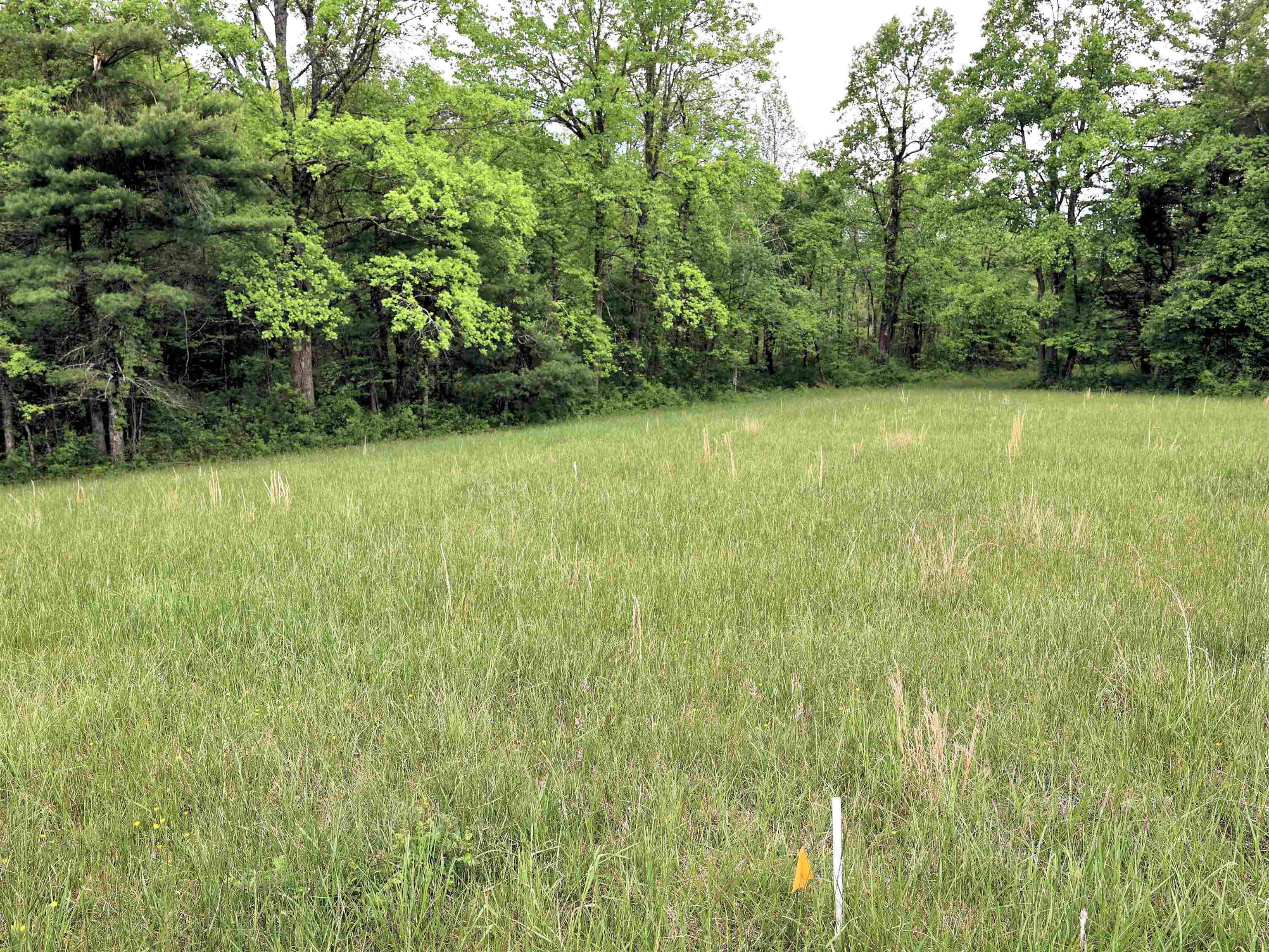 Floyd, VA 24091,TBD Franklin Pike SE