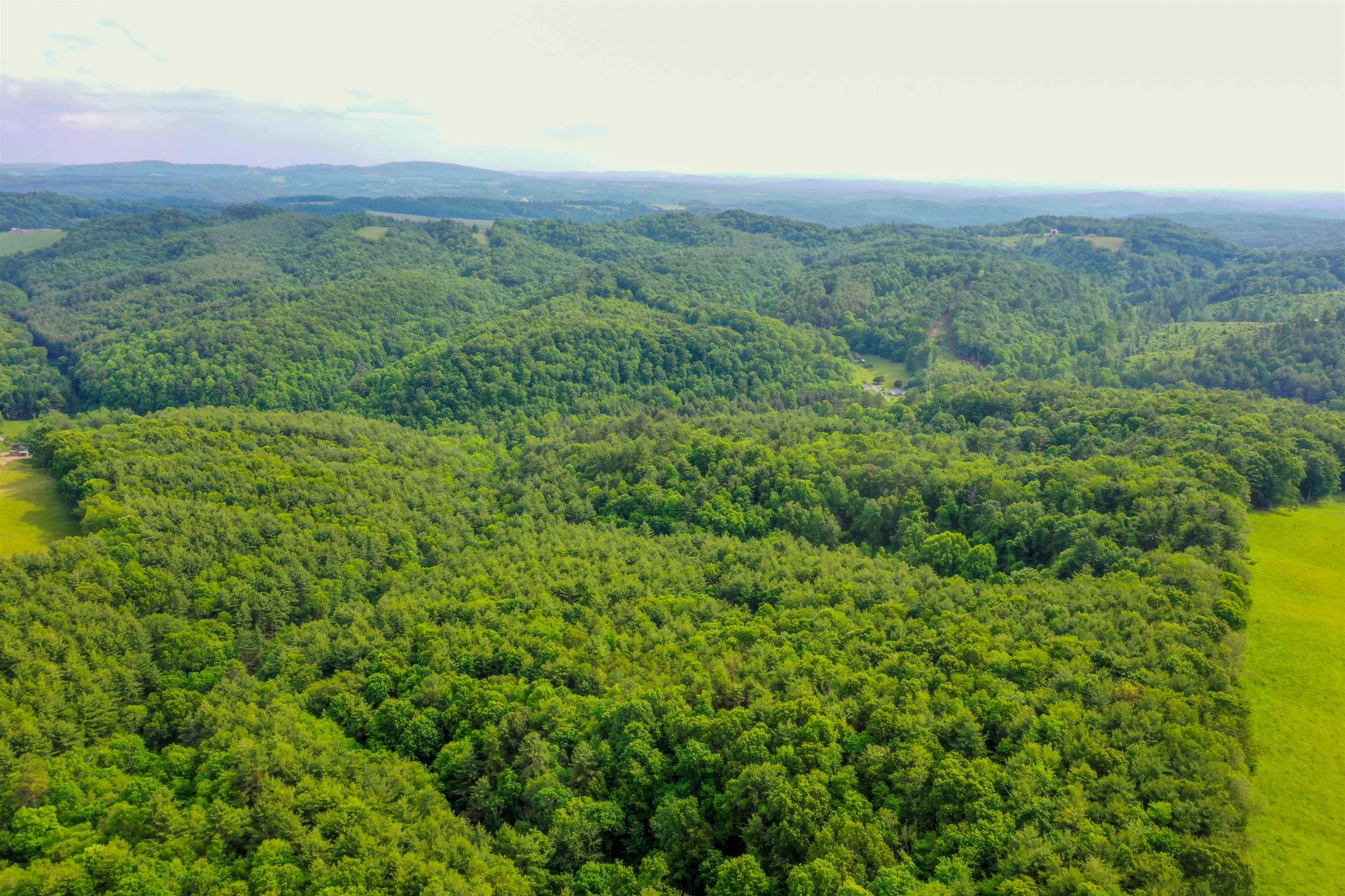 Indian Valley, VA 24105,TBD 80 ac. Horse Ridge RD
