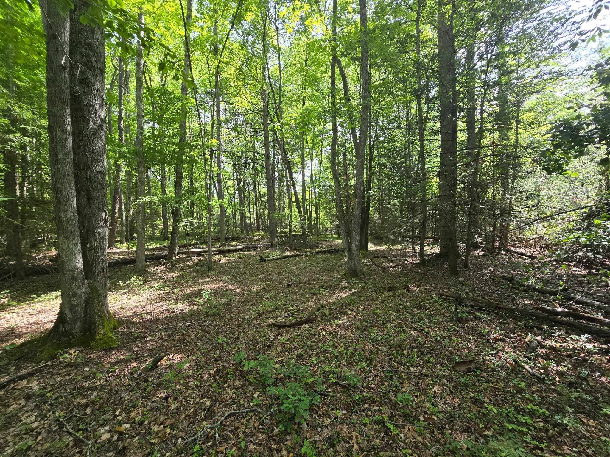 Bland, VA 24315,tbd Poor Valley RD