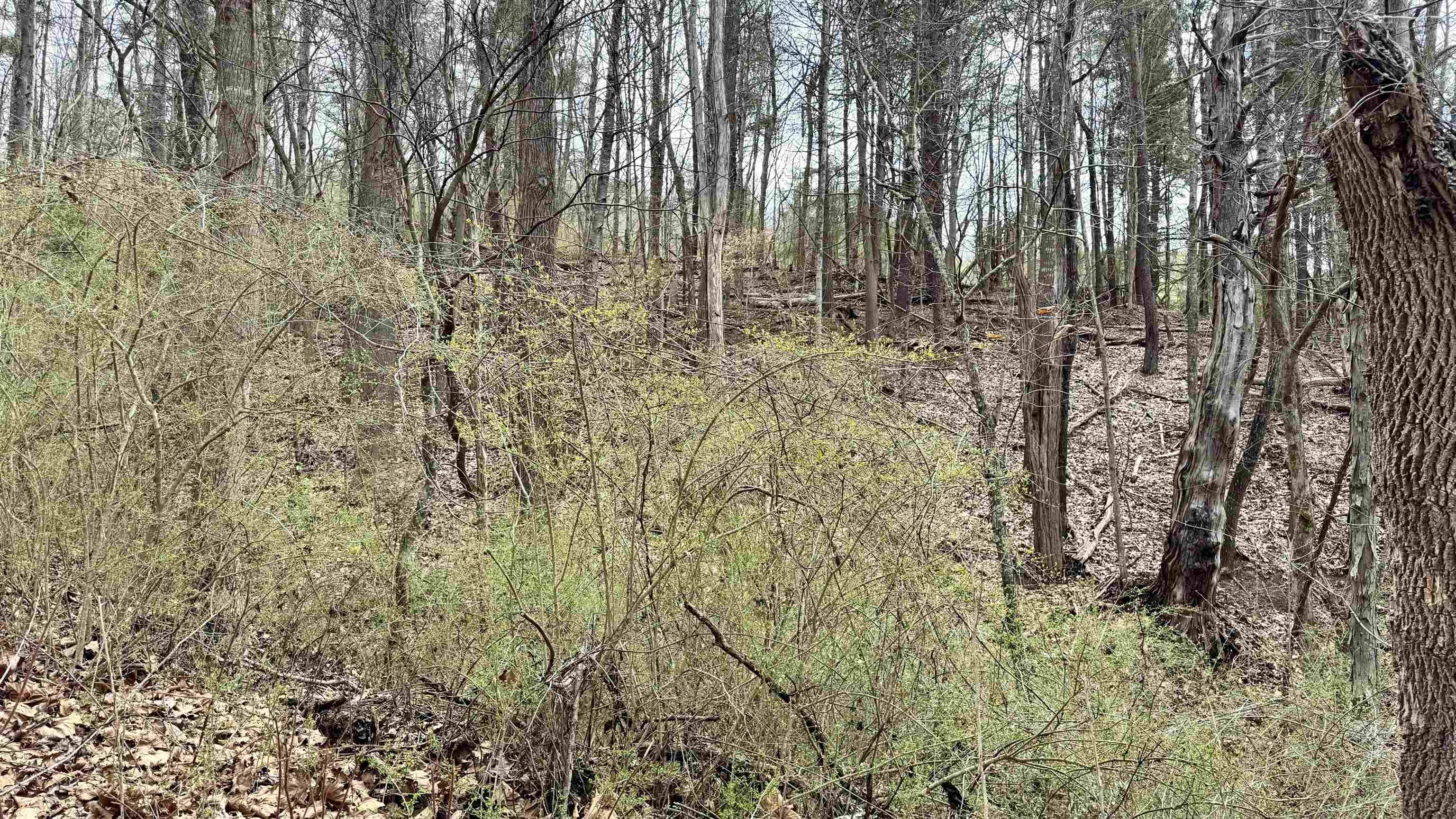 Wytheville, VA 24382,TBD Cherry Blossom LN