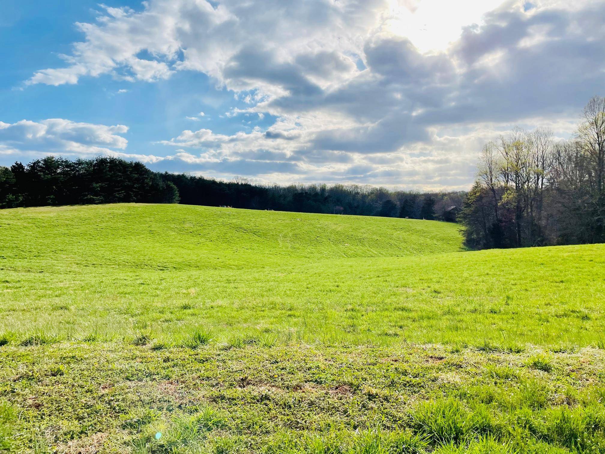 Moneta, VA 24121,Lot 13 Belvior CIR