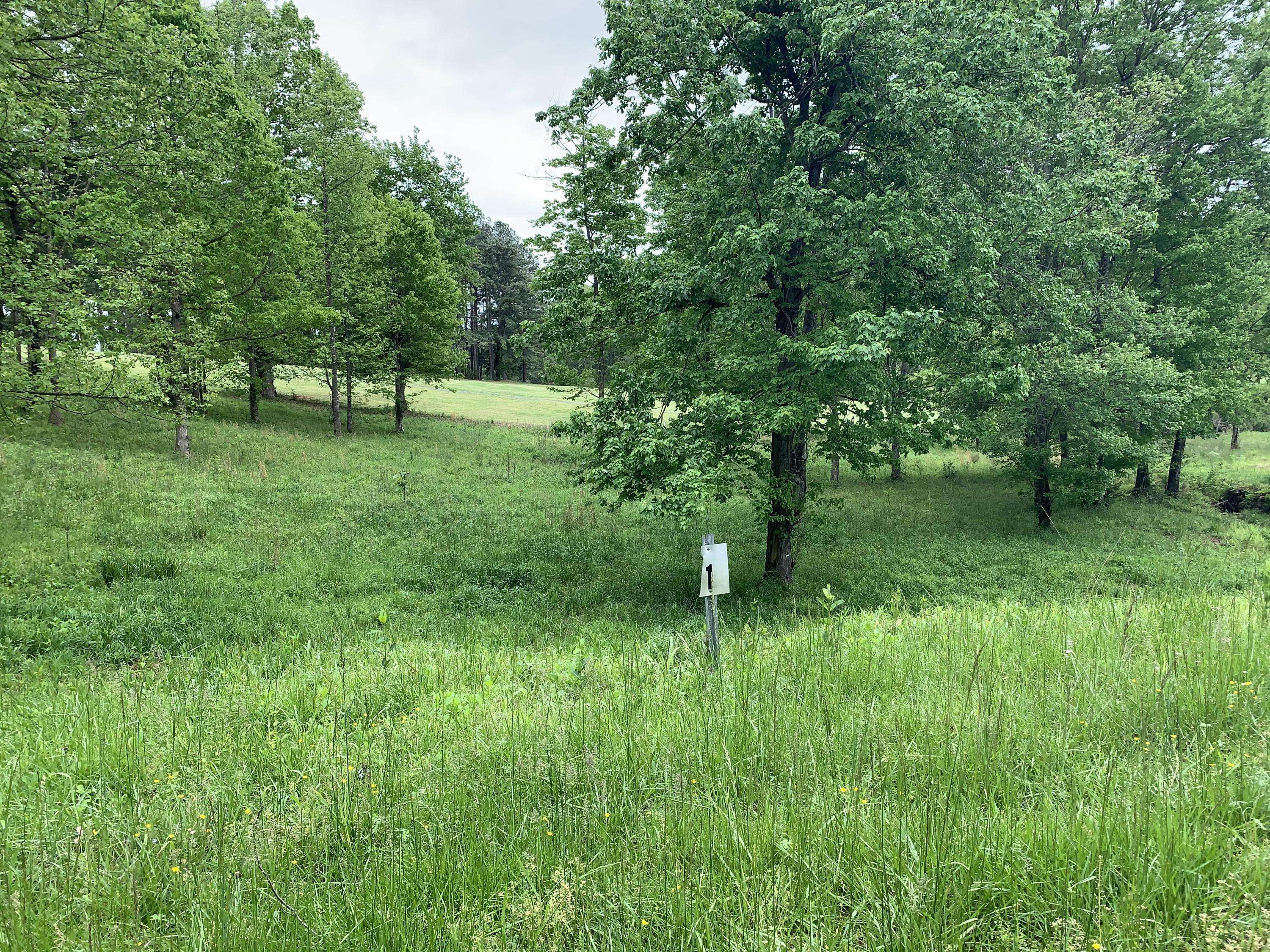 Rocky Mount, VA 24151,Lot 1 Willow Creek RD