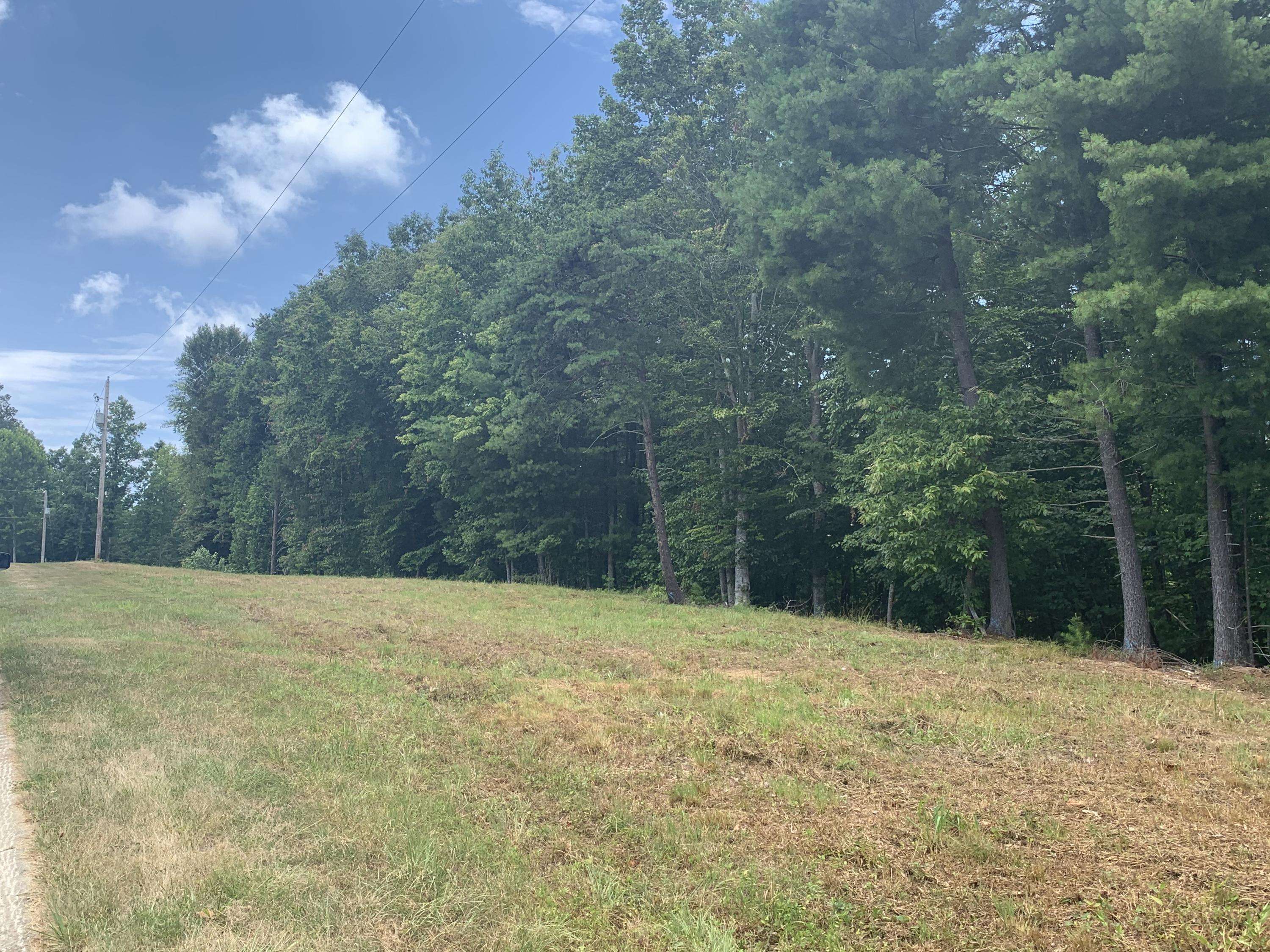 Rocky Mount, VA 24151,Lot 9 Mountain Top DR