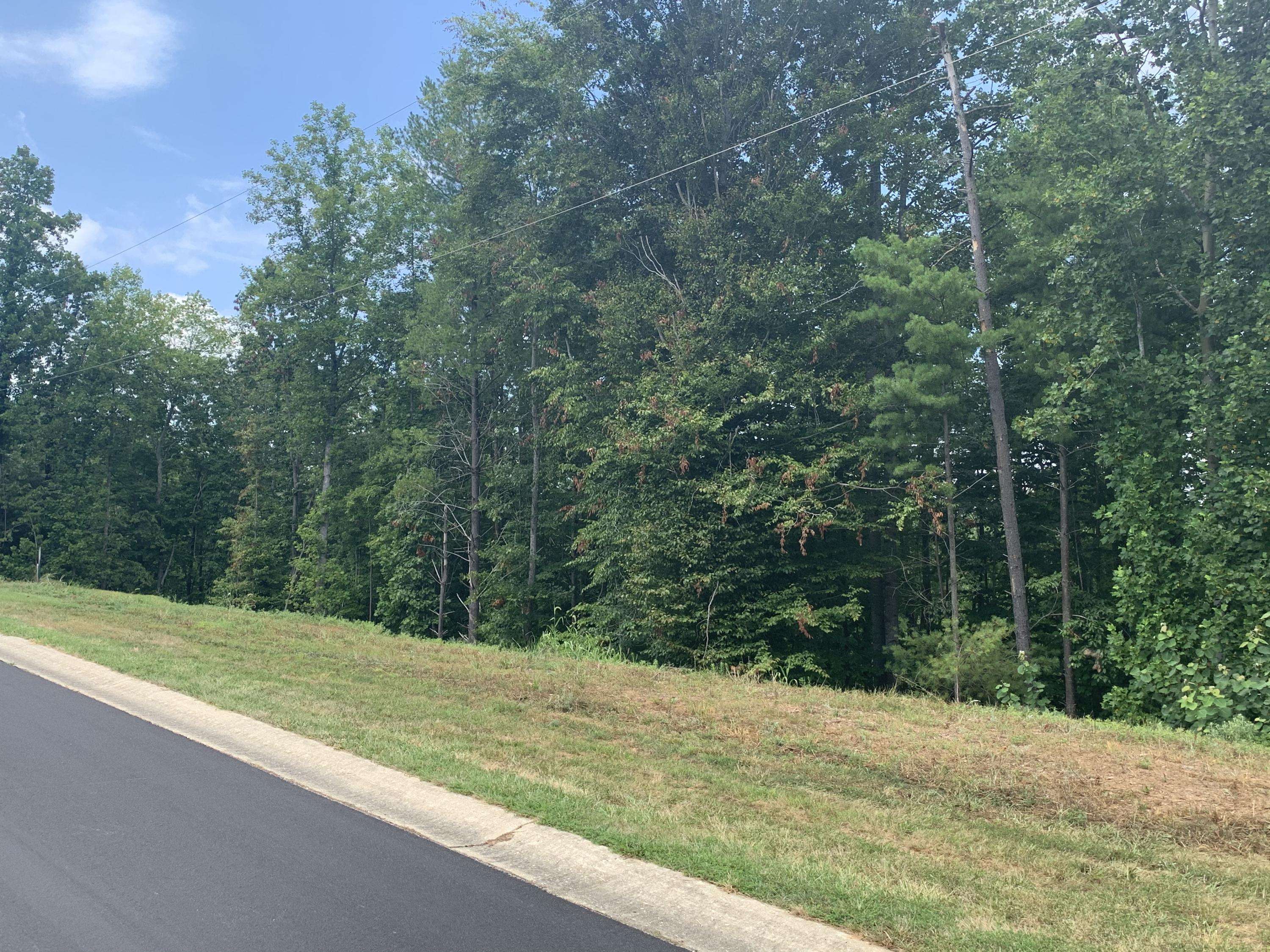 Rocky Mount, VA 24151,Lot 12 Mountain Top DR