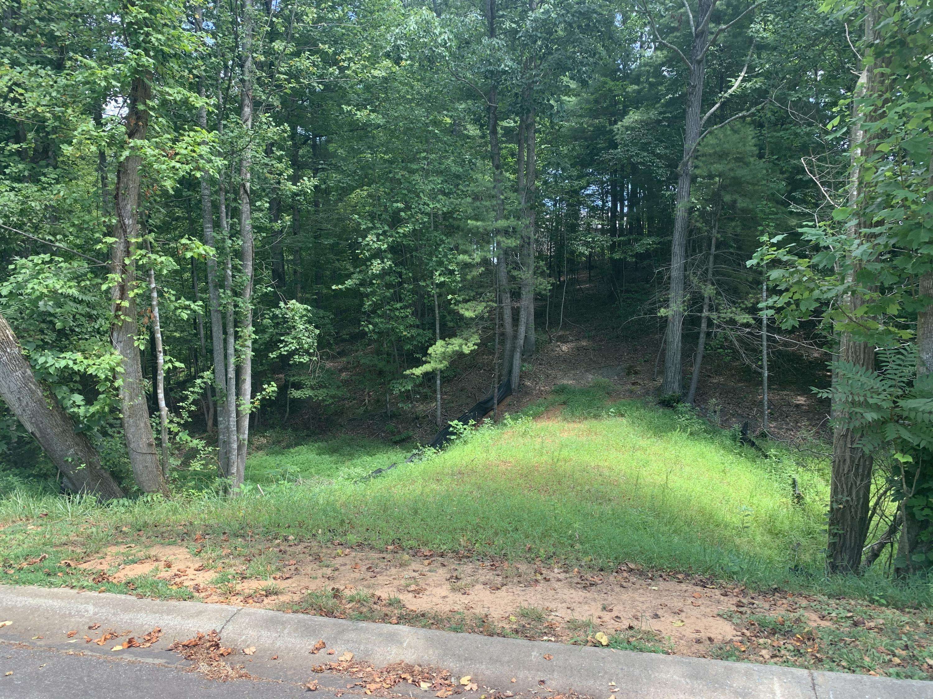 Rocky Mount, VA 24151,Lot 13 Creekwood DR