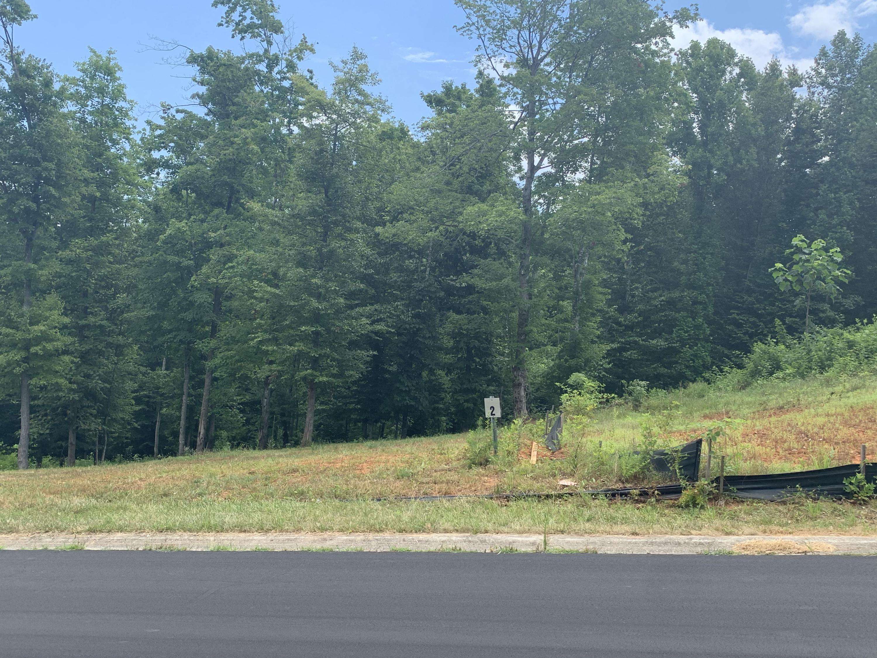 Rocky Mount, VA 24151,Lot 2 Mountain Top DR