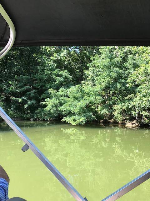 Moneta, VA 24121,Lot 6 Bridgewater LN