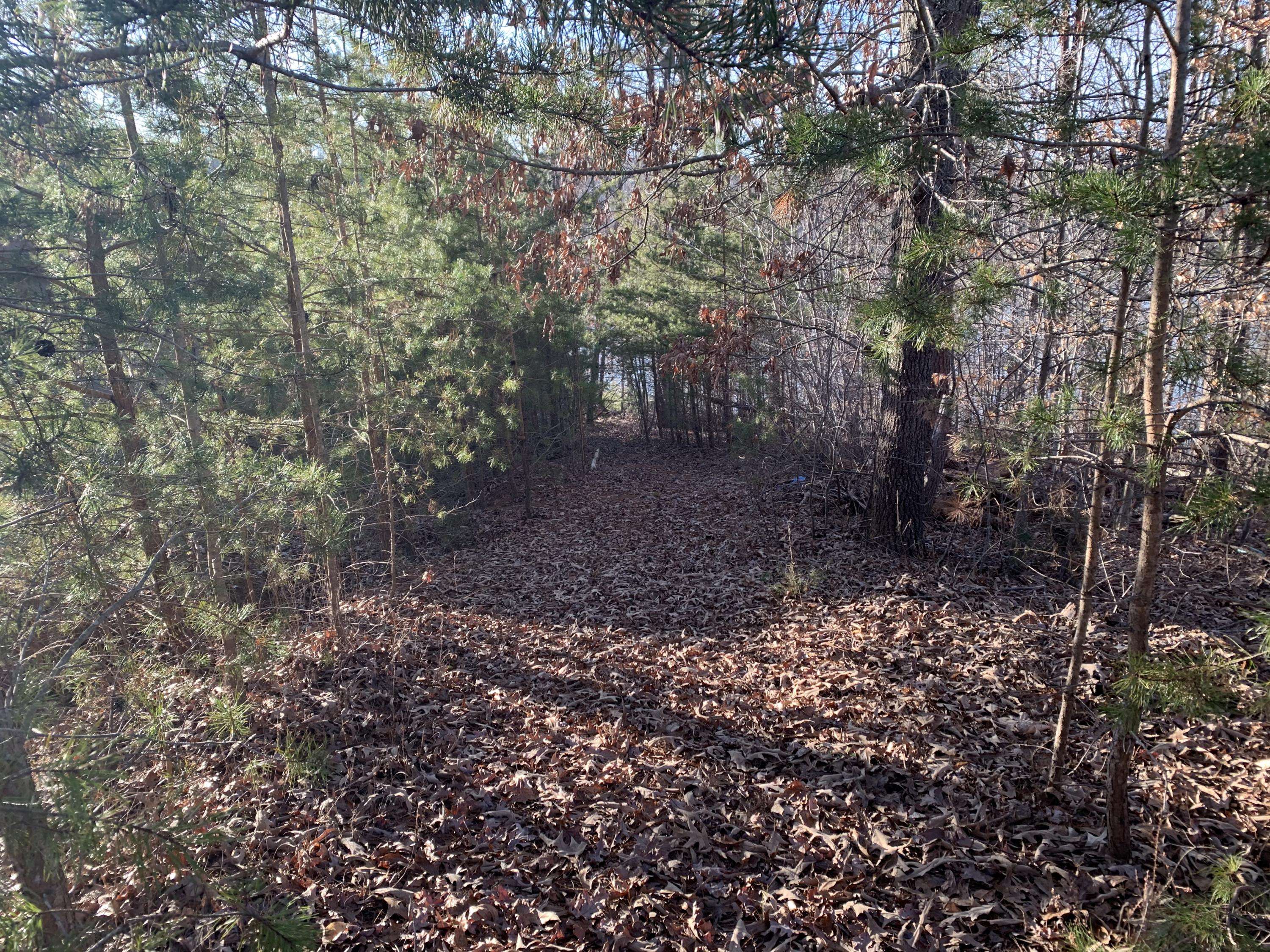 Gretna, VA 24557,Lot 34 Water View CT