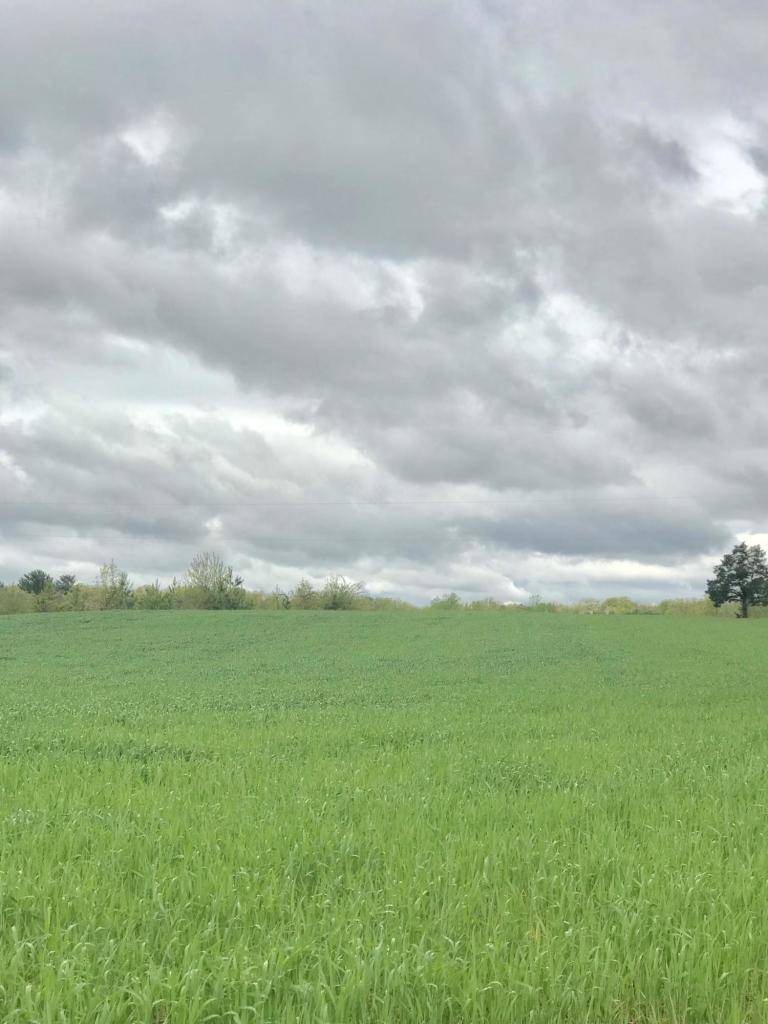 Wirtz, VA 24184,Lot 5B Morningwood LN