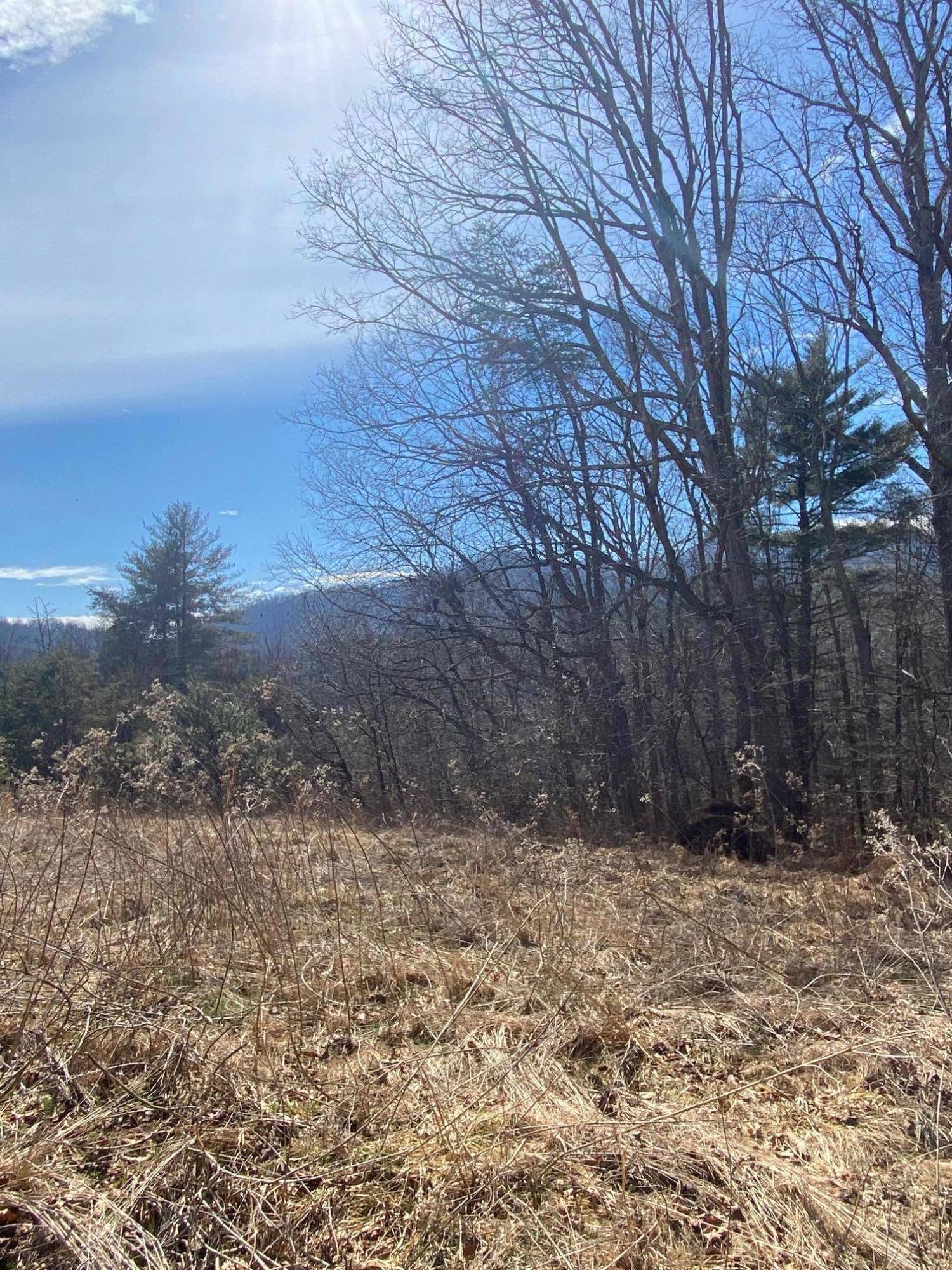 Vinton, VA 24179,Lot 28 River Rock RD