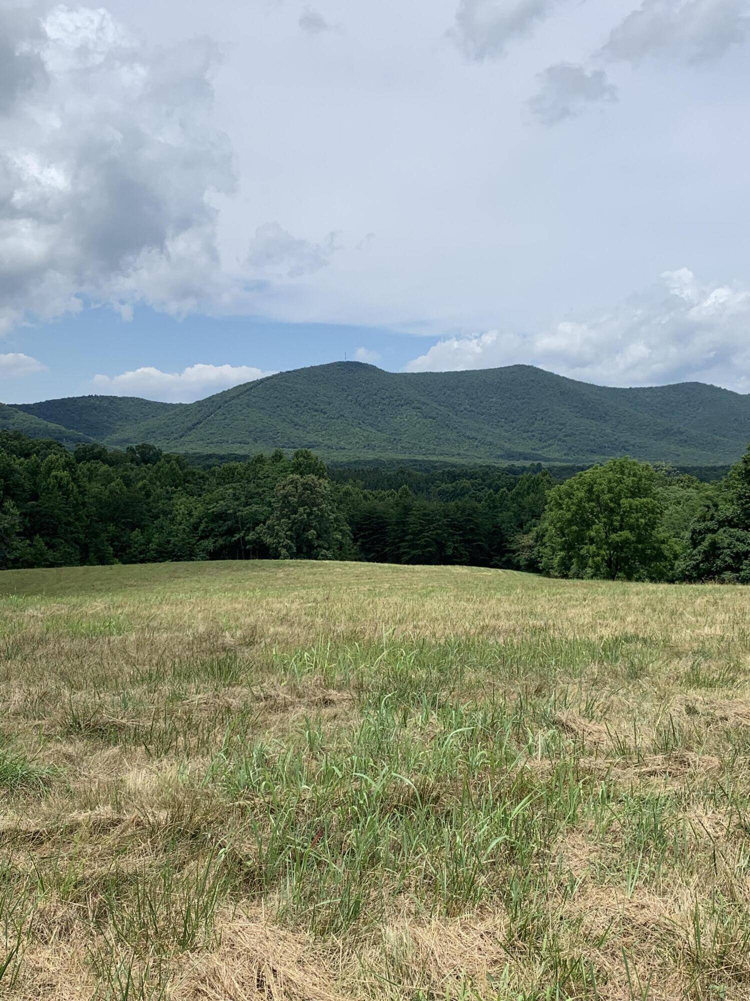 Sandy Level, VA 24161,0 Grassland DR