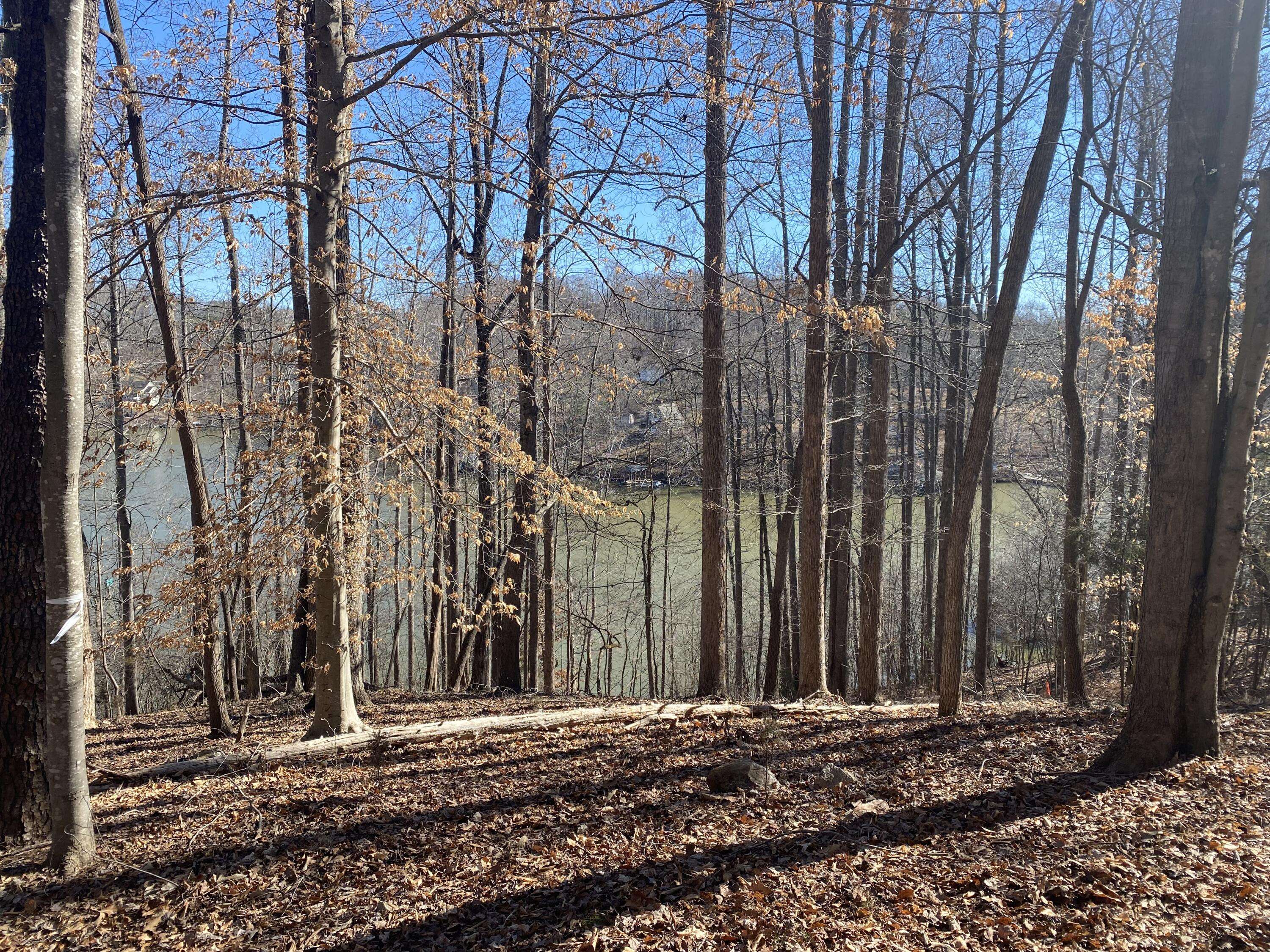 Glade Hill, VA 24092,Lot 29 Lake View PT