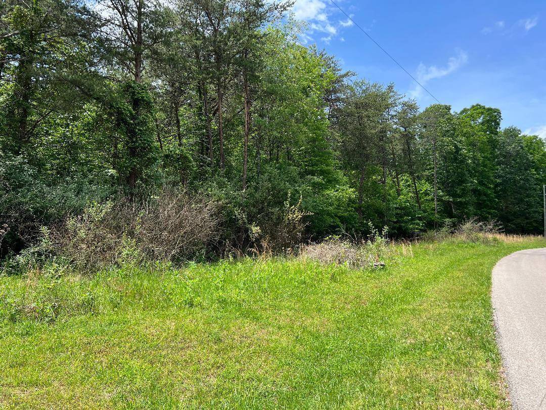 Moneta, VA 24121,Lot 47 Gap Bridge RD