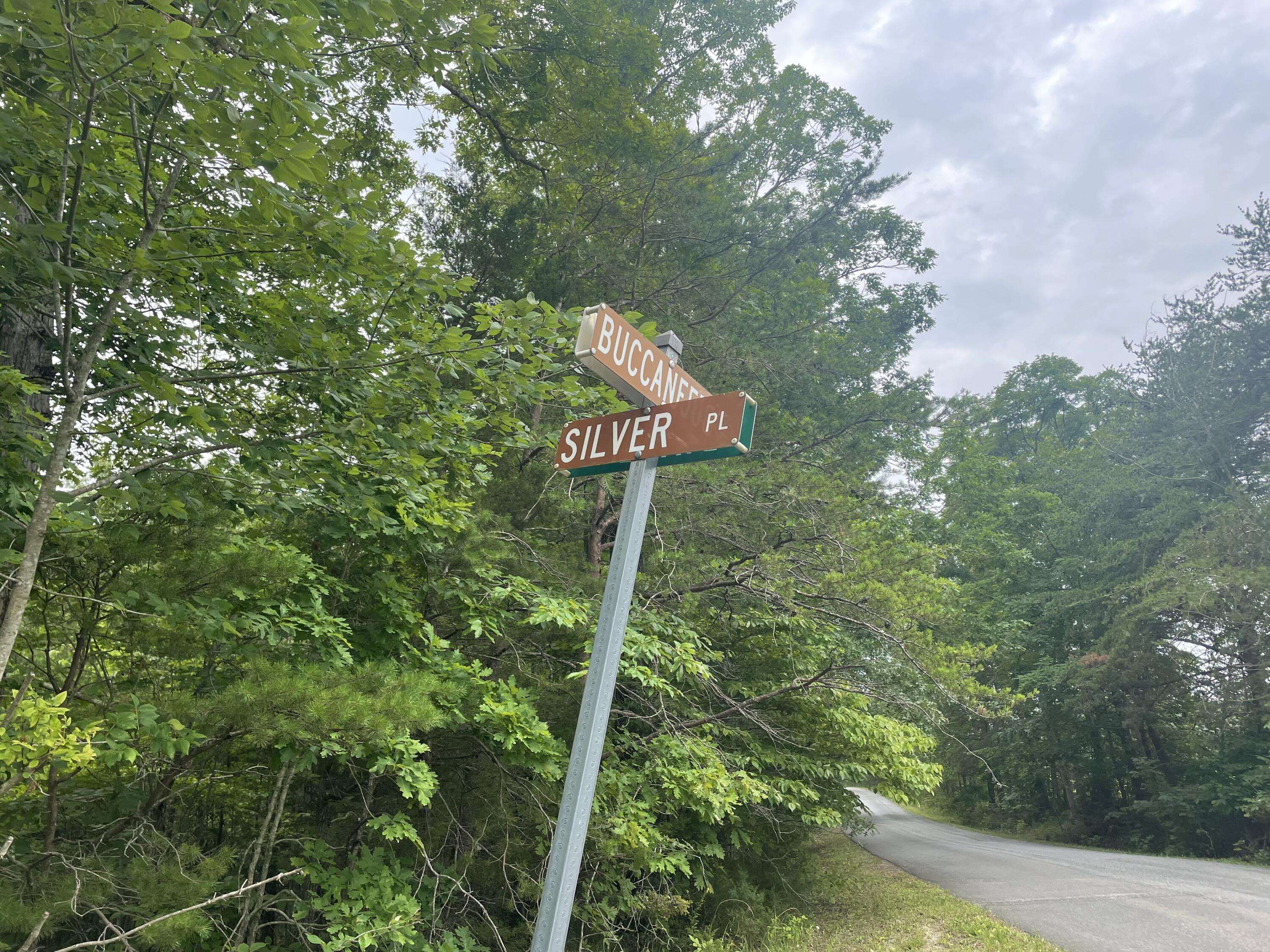Moneta, VA 24121,Lot 51 Silver PL