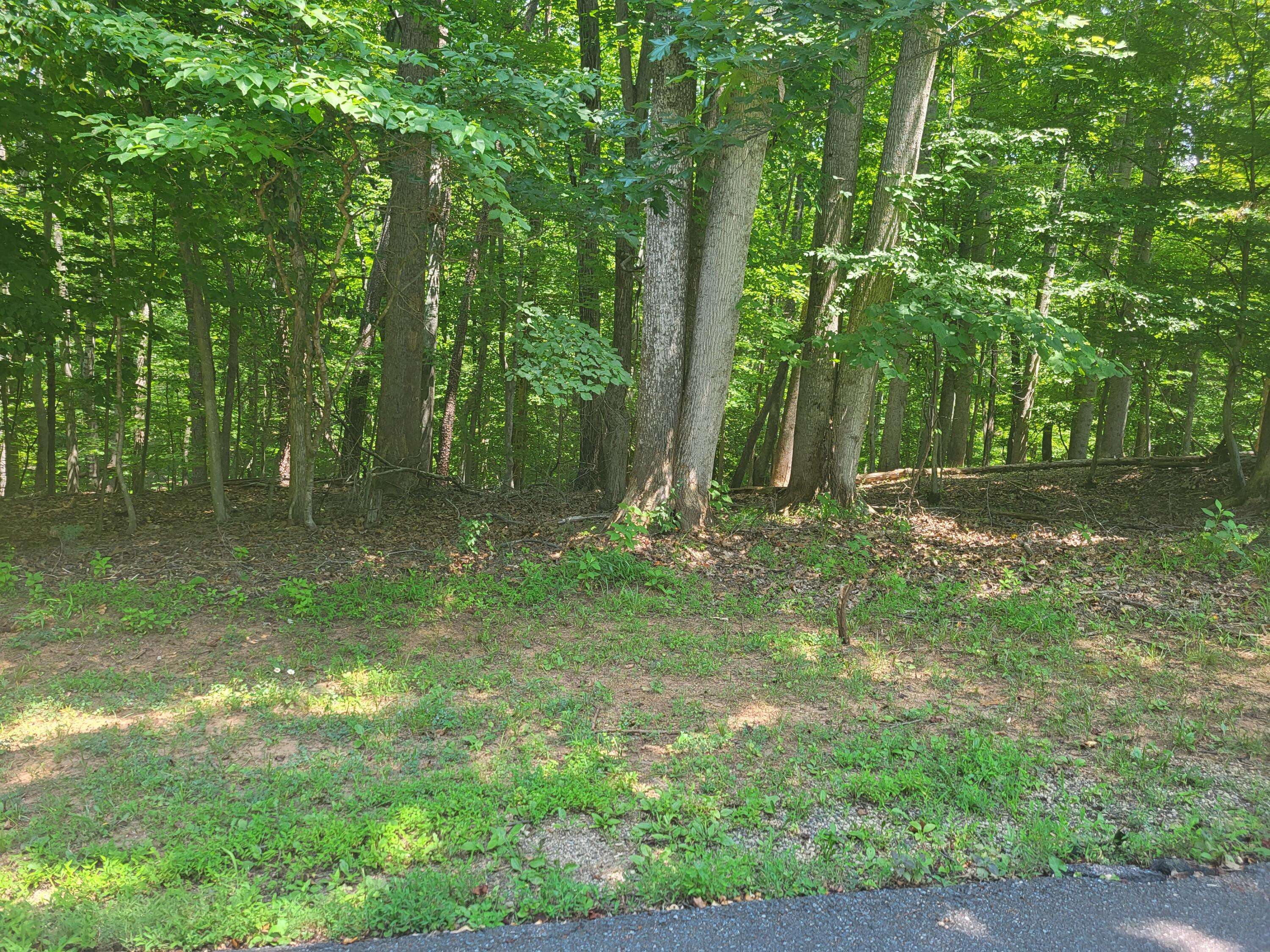 Moneta, VA 24121,Lot 74 Land Harbor LN