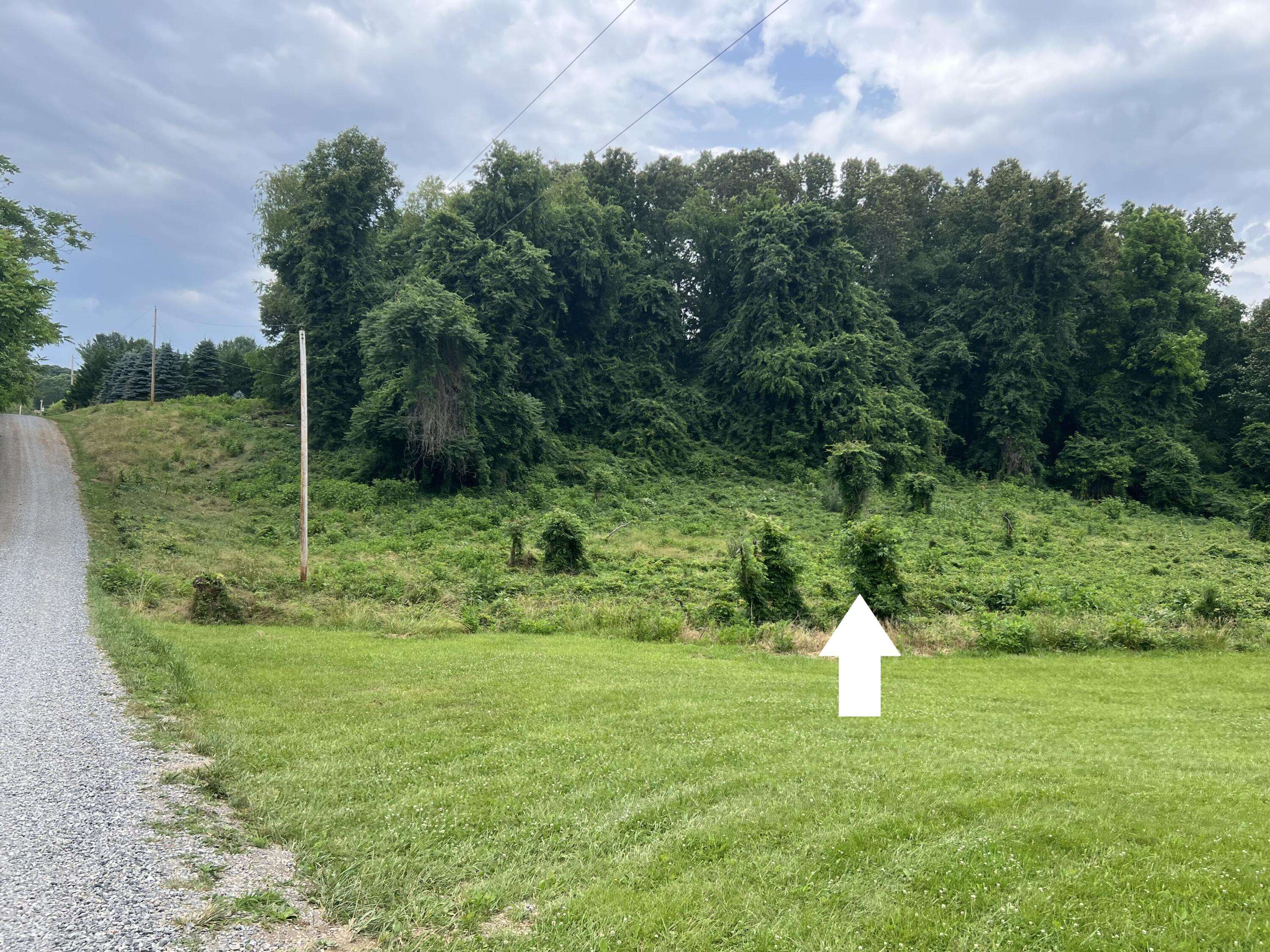 Moneta, VA 24121,Lot 13 Crest Hills DR