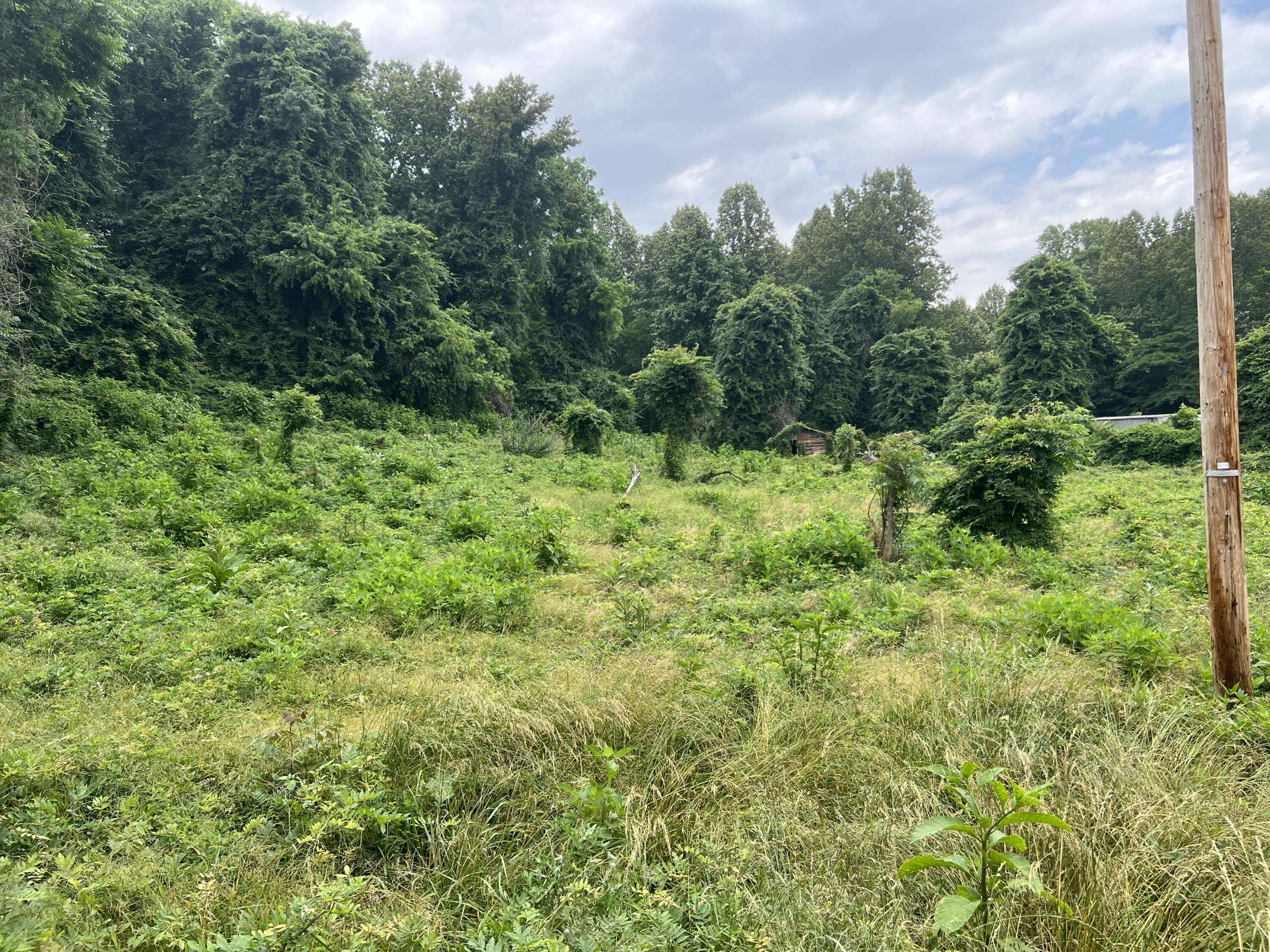 Moneta, VA 24121,Lot 13 Crest Hills DR