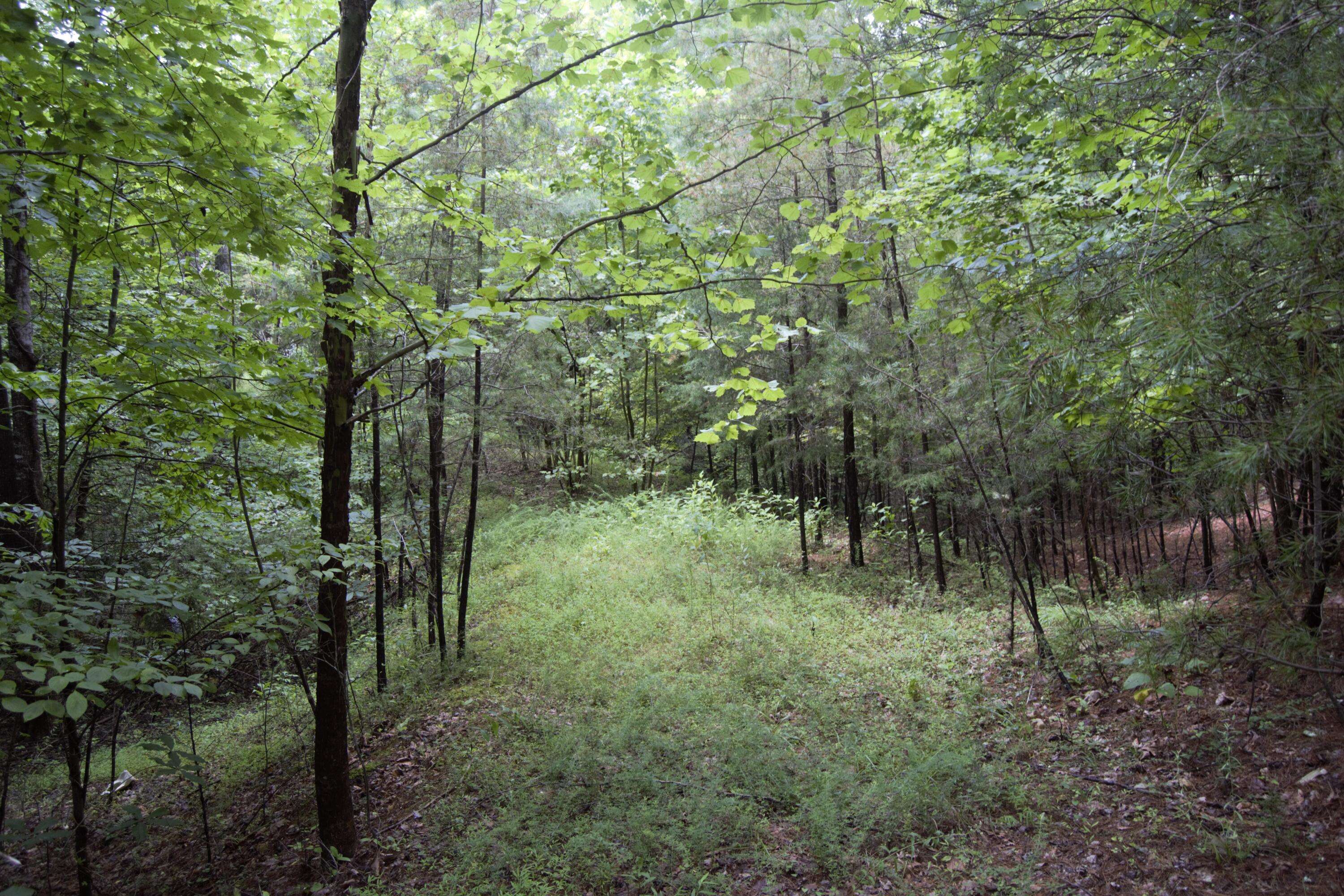 Lynch Station, VA 24571,Lot 369 Mt Airy RD