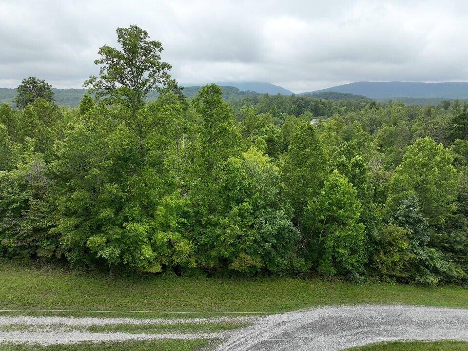 Pittsville, VA 24139,Lot 5 Reservoir View DR