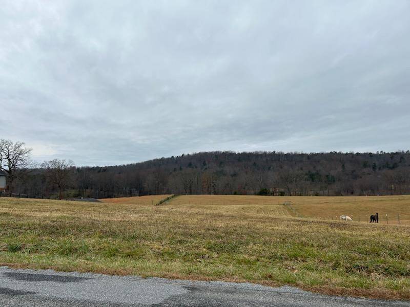 Bassett, VA 24055,Lot 1 Country Ridge RD