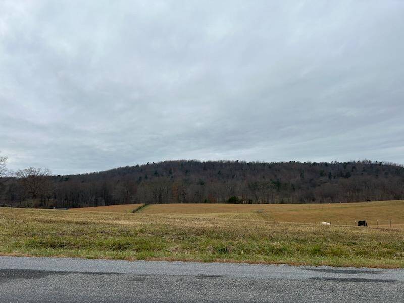 Bassett, VA 24055,Lot 1 Country Ridge RD