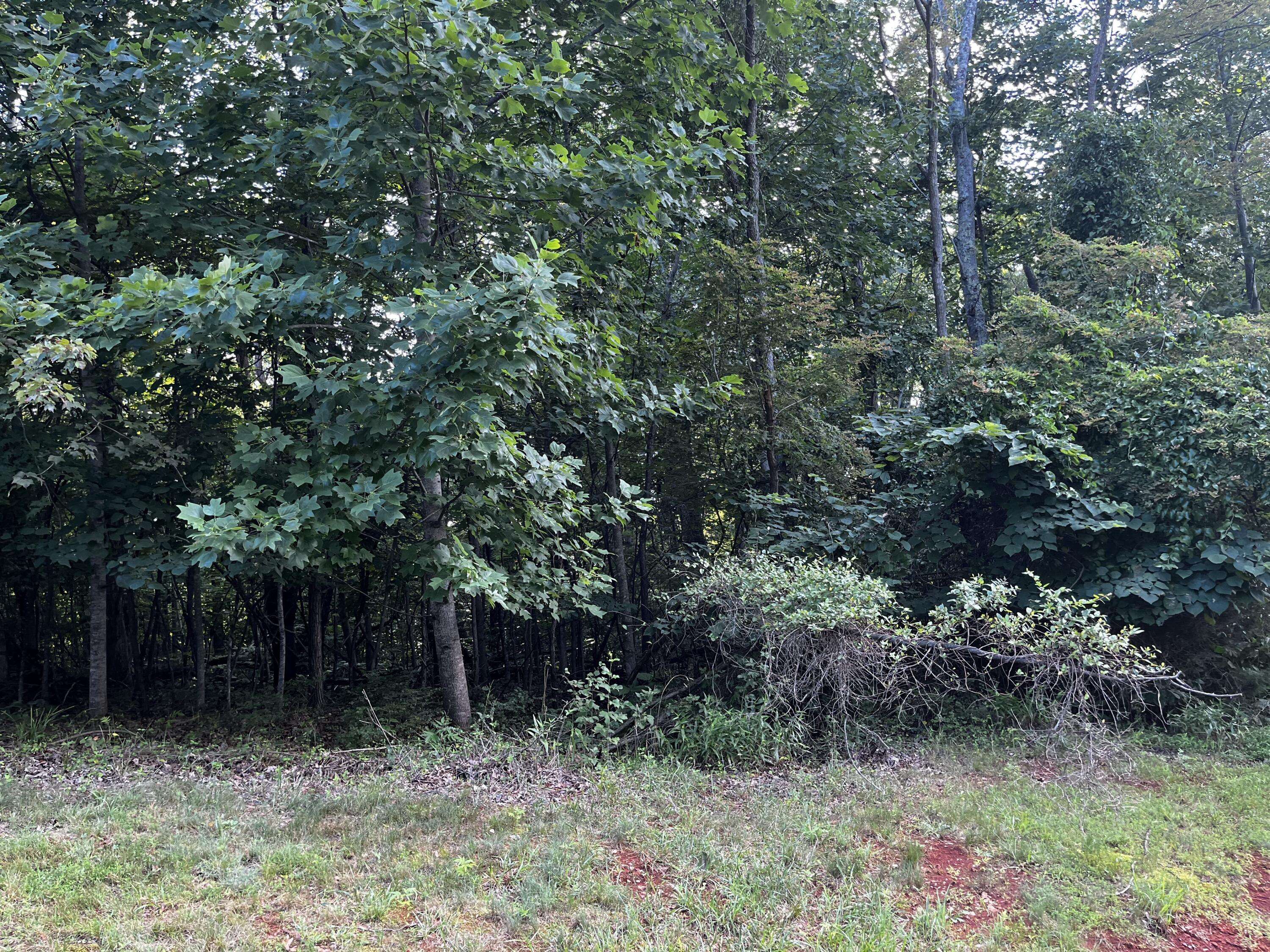 Lynch Station, VA 24571,Lot 332 Bay View RD