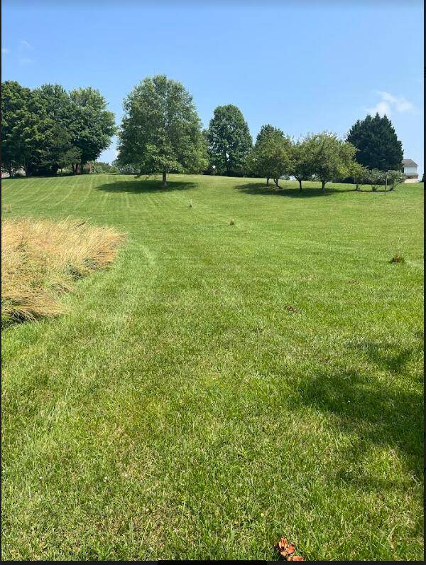 Vinton, VA 24179,Lot 27 Stewartsville RD