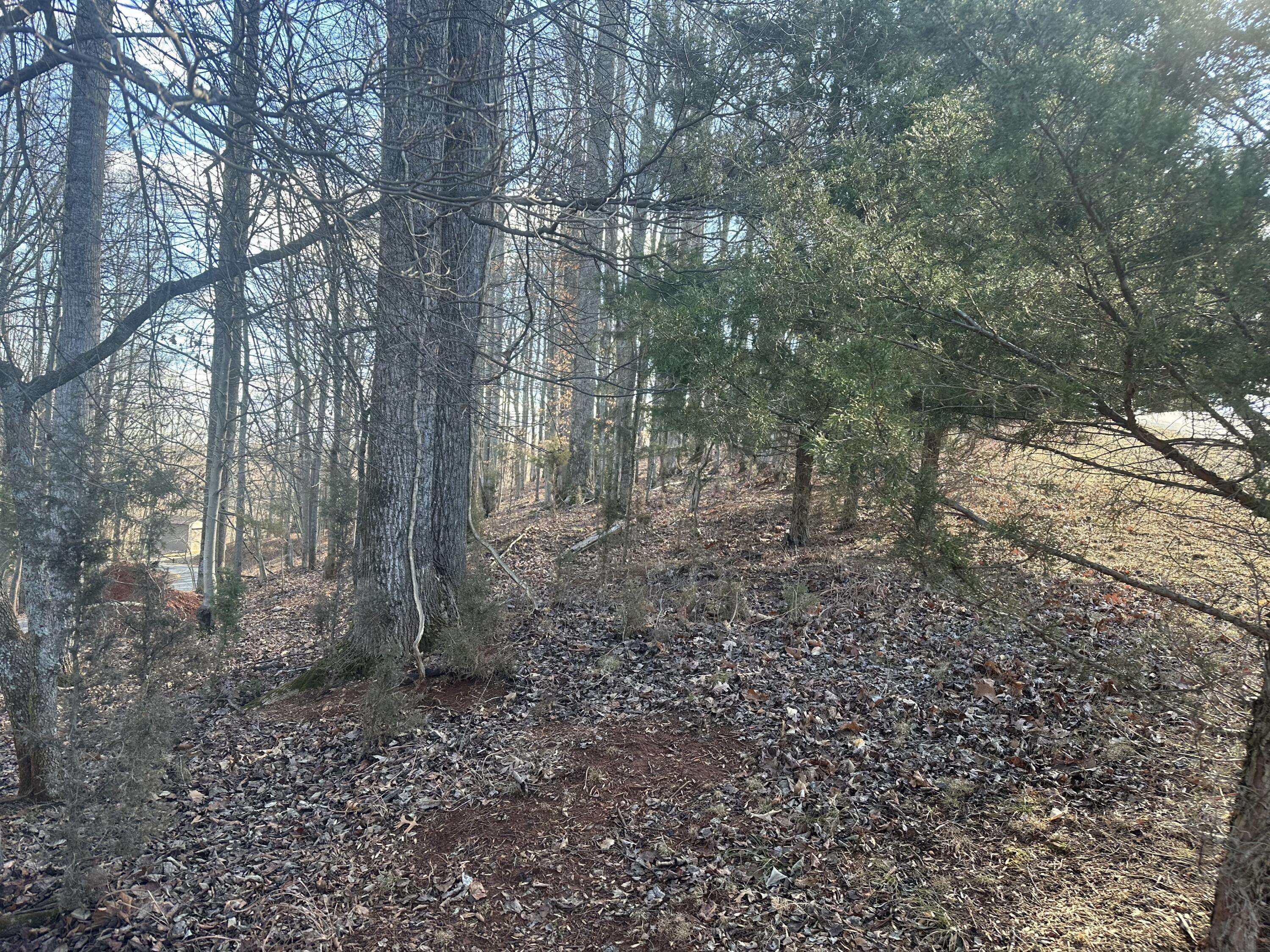 Hardy, VA 24101,Lot 41 Lynville DR