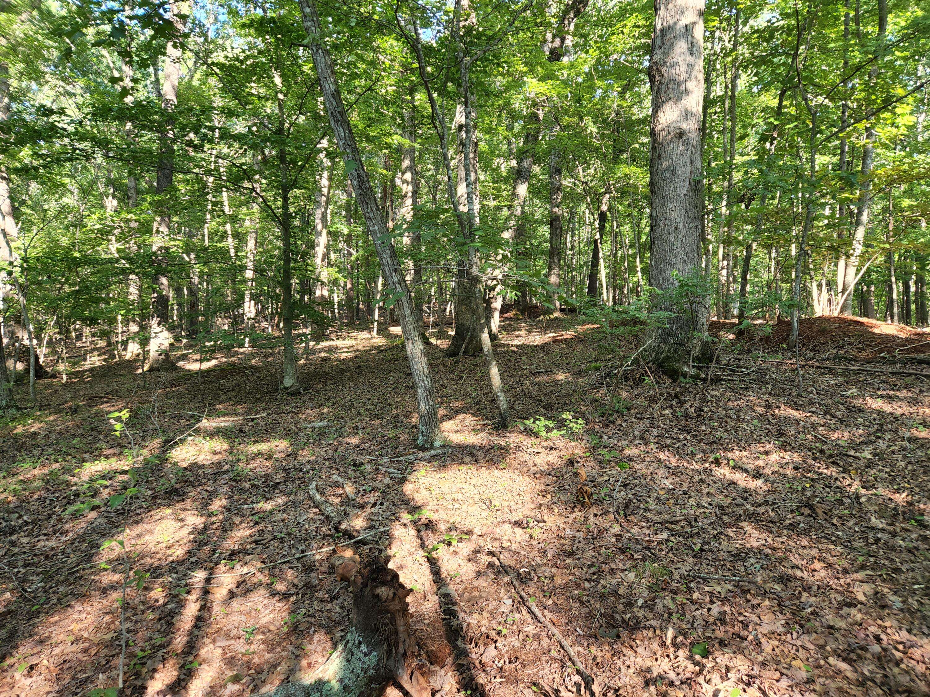 Moneta, VA 24121,Lot 4 Charmwood CIR