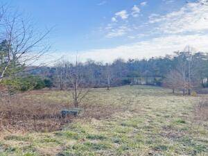 Lynch Station, VA 24571,Lot 246 Clear Pointe Run