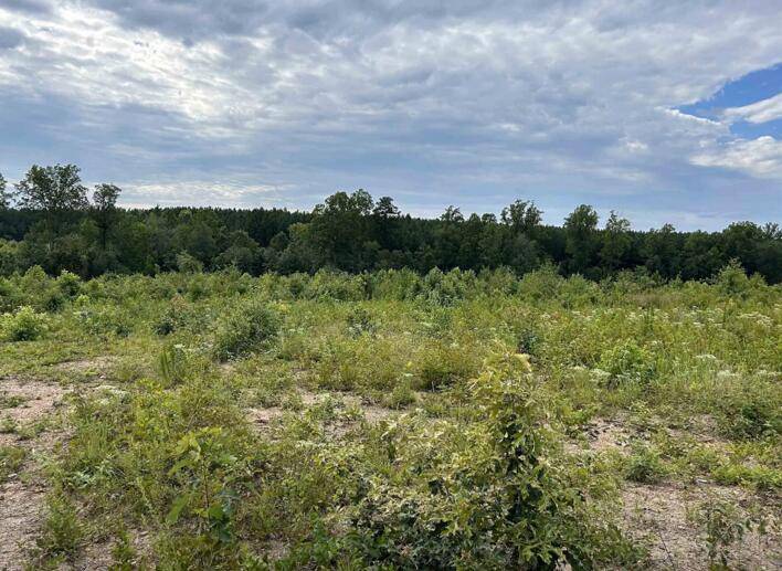 Long Island, VA 24569,Lot 5 Hubbard RD