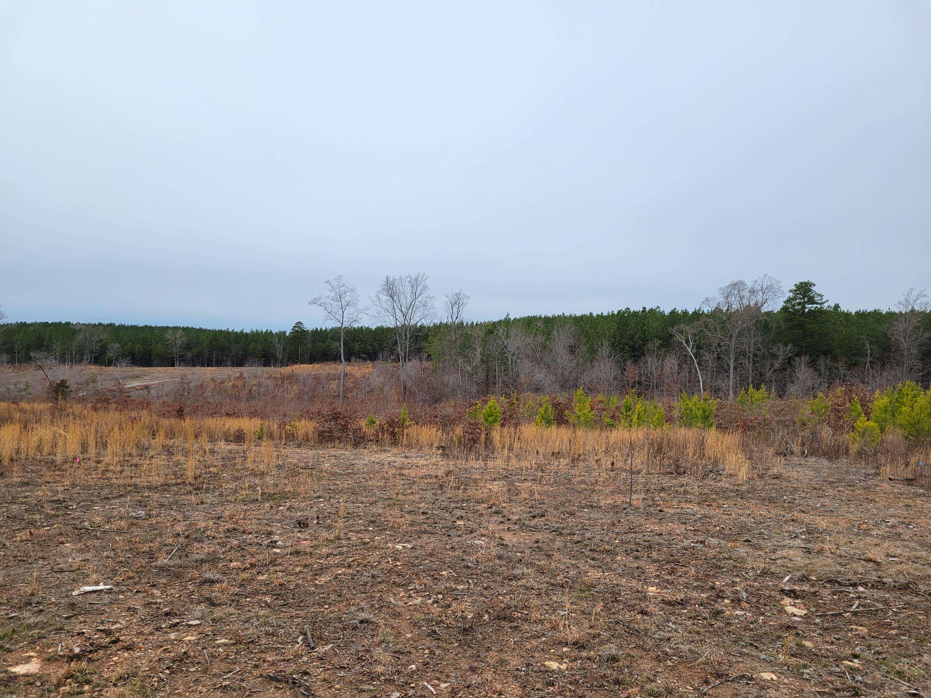 Long Island, VA 24569,Lot 5 Hubbard RD