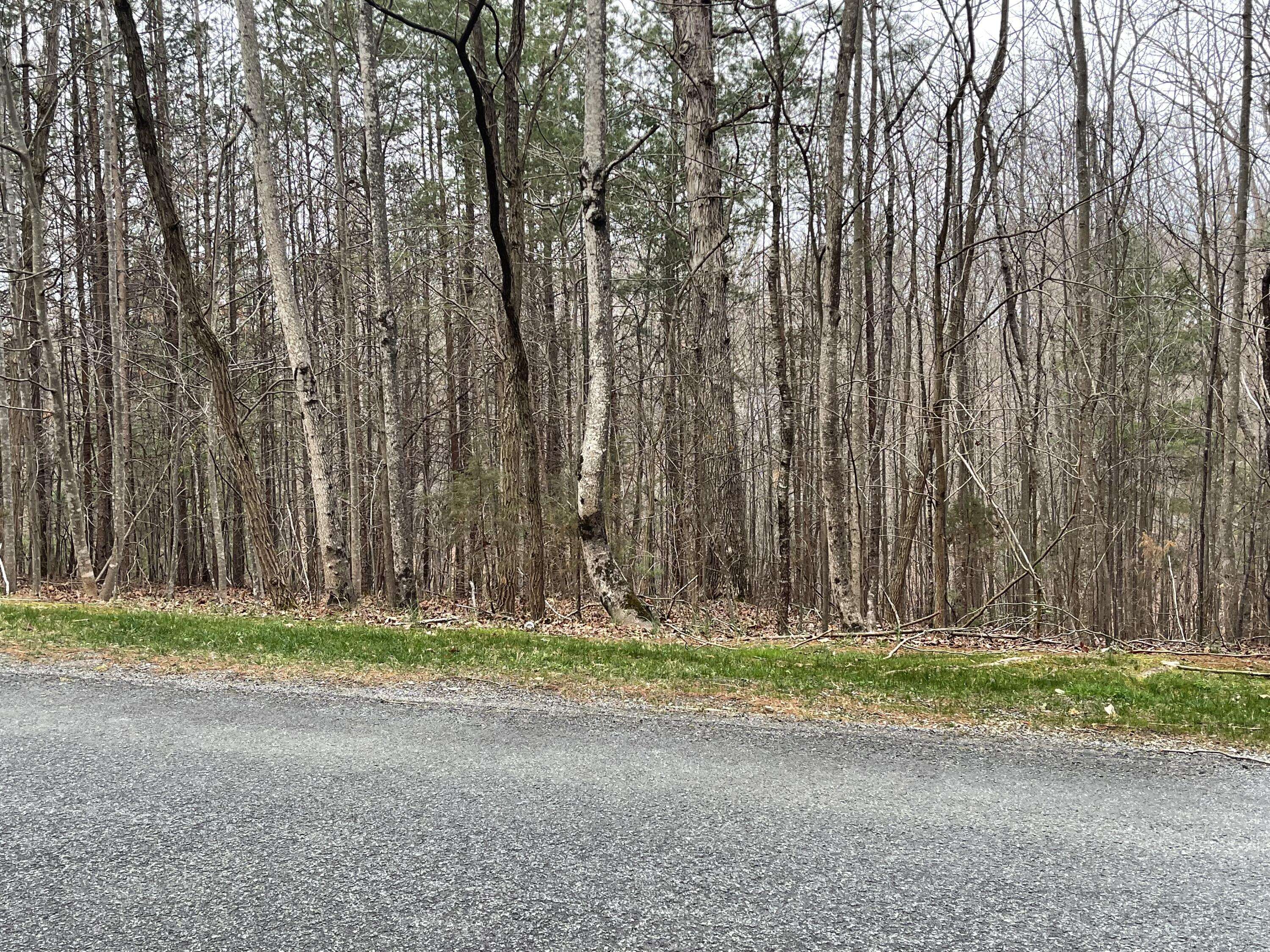 Wirtz, VA 24184,Lot 70-A Boxwoodgreen DR