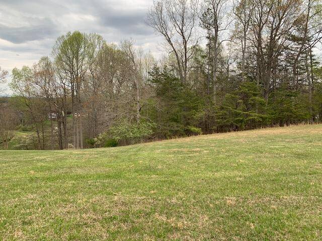 Hardy, VA 24101,Lot 64 North Church DR