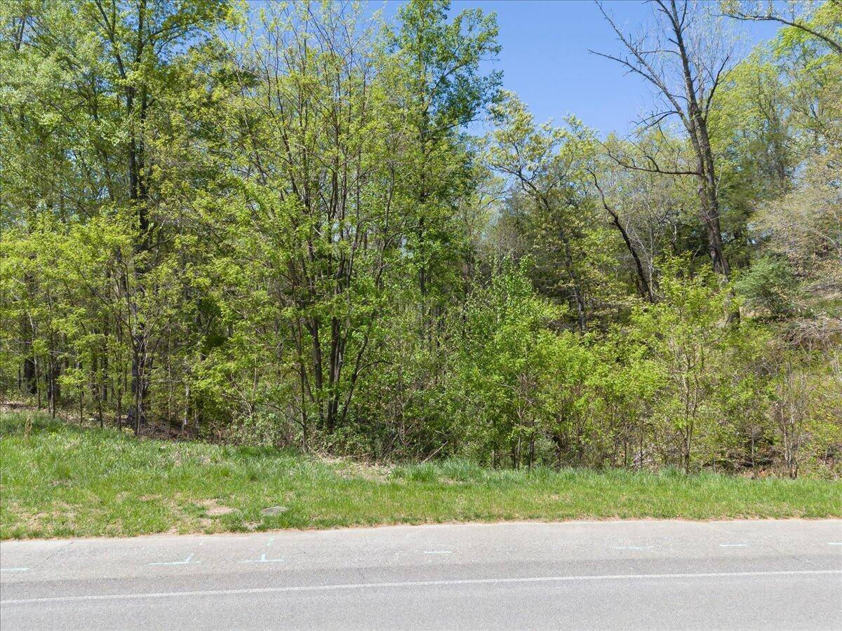 Moneta, VA 24121,Lot 44 Lakewatch CIR