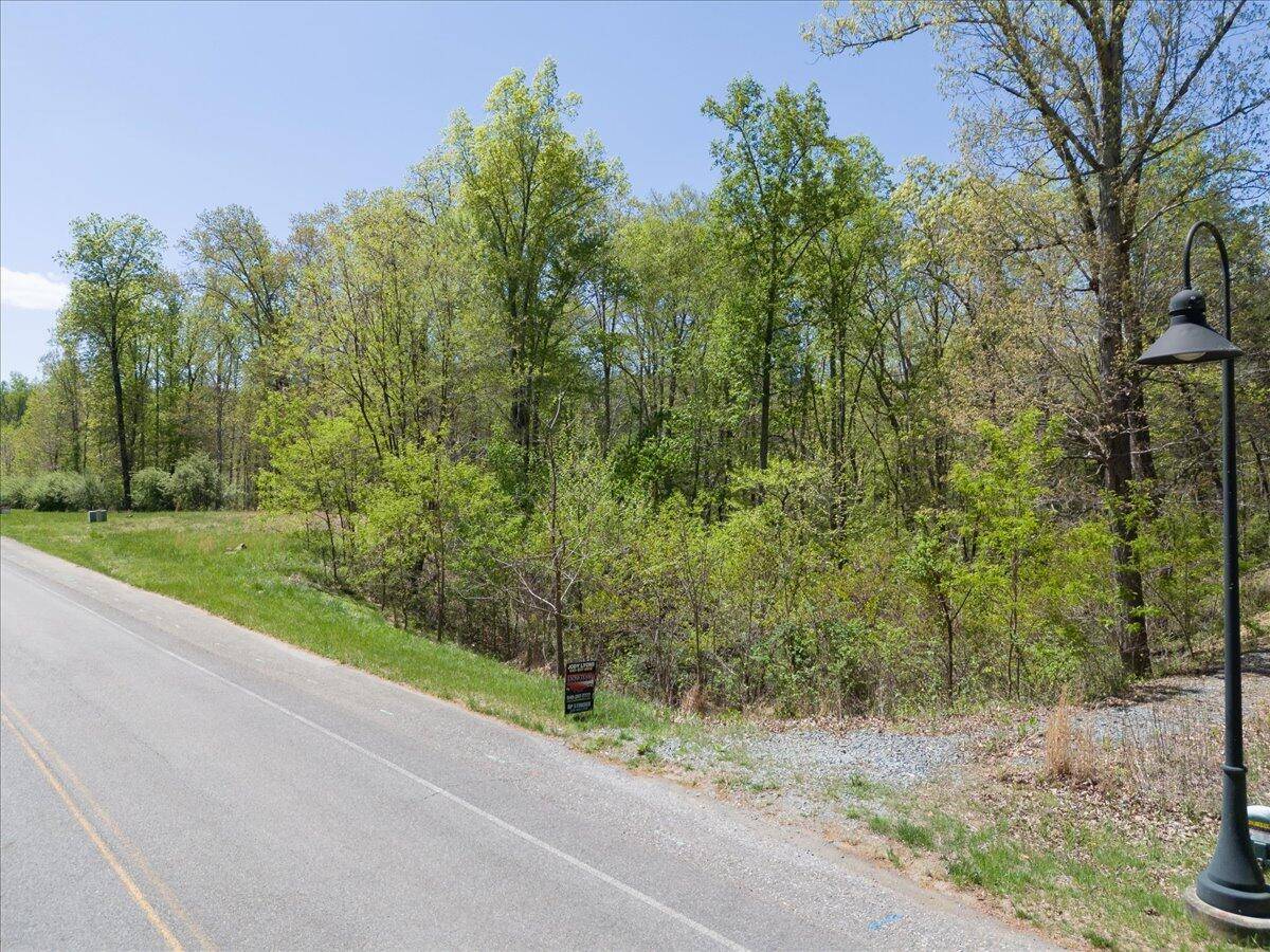 Moneta, VA 24121,Lot 44 Lakewatch CIR