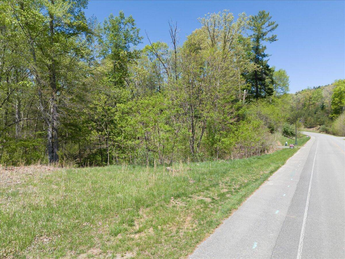 Moneta, VA 24121,Lot 44 Lakewatch CIR