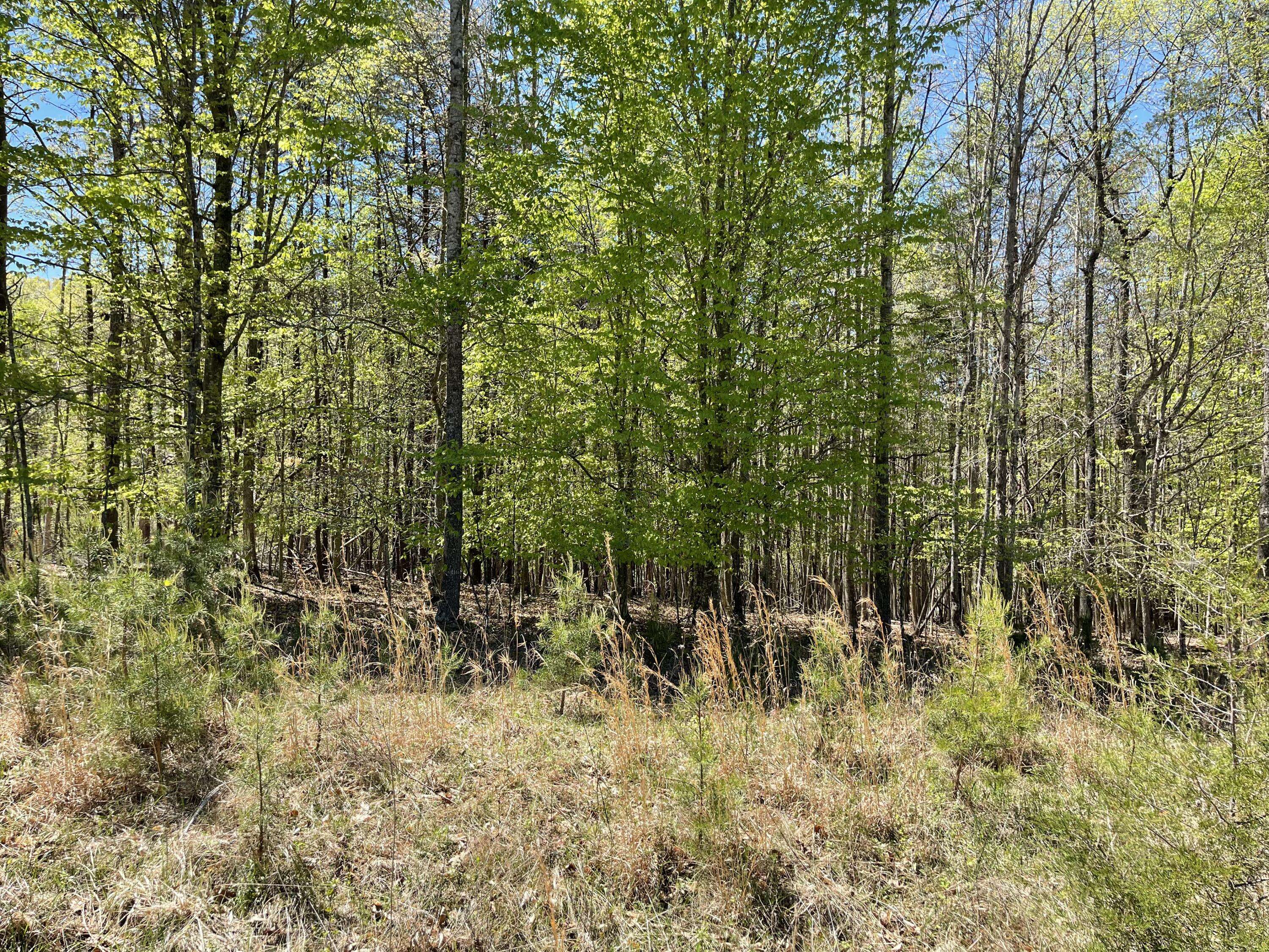 Moneta, VA 24121,Lot 13 Tarragon WAY