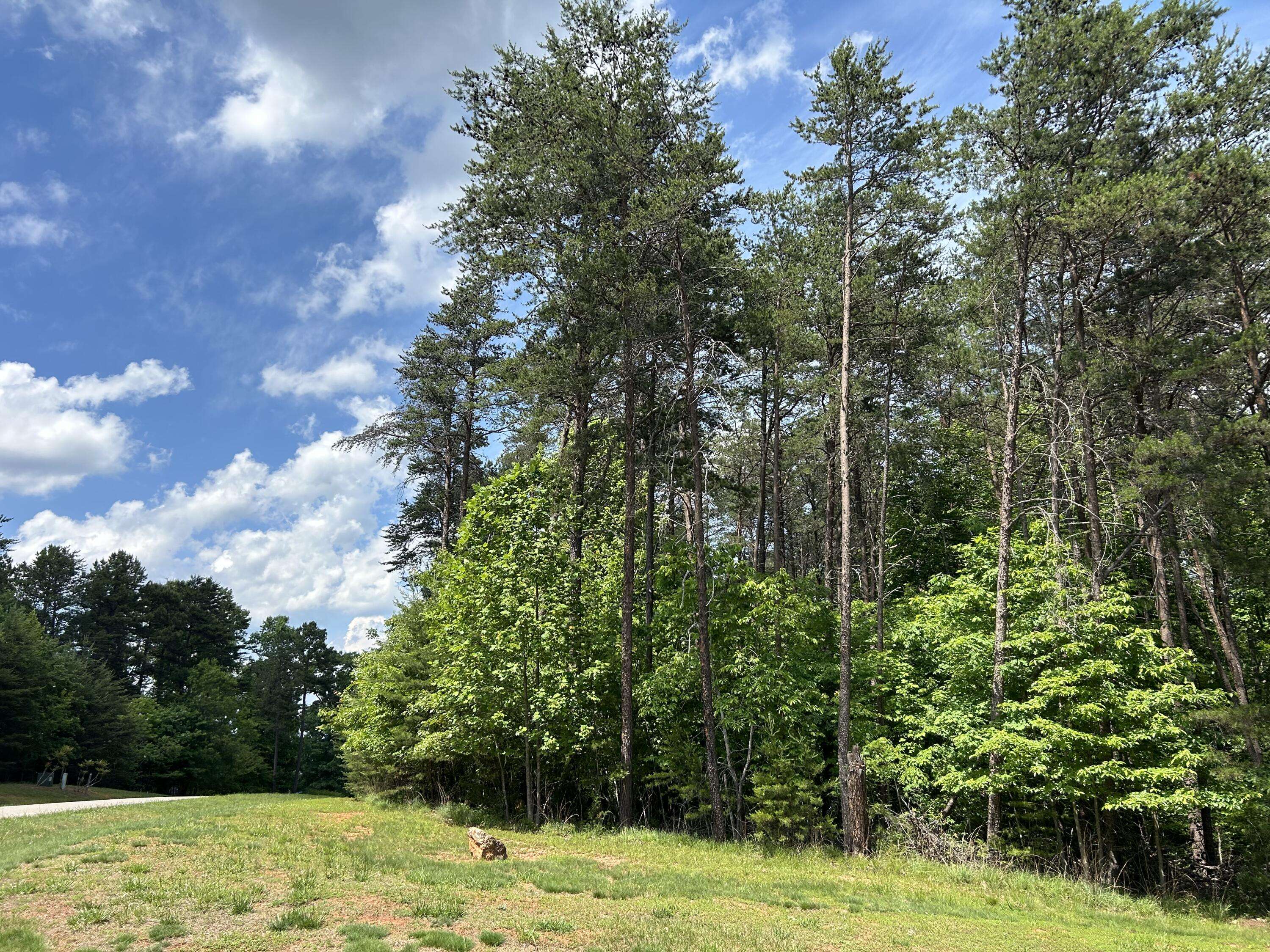 Gretna, VA 24557,Lot 44 Jasper LN