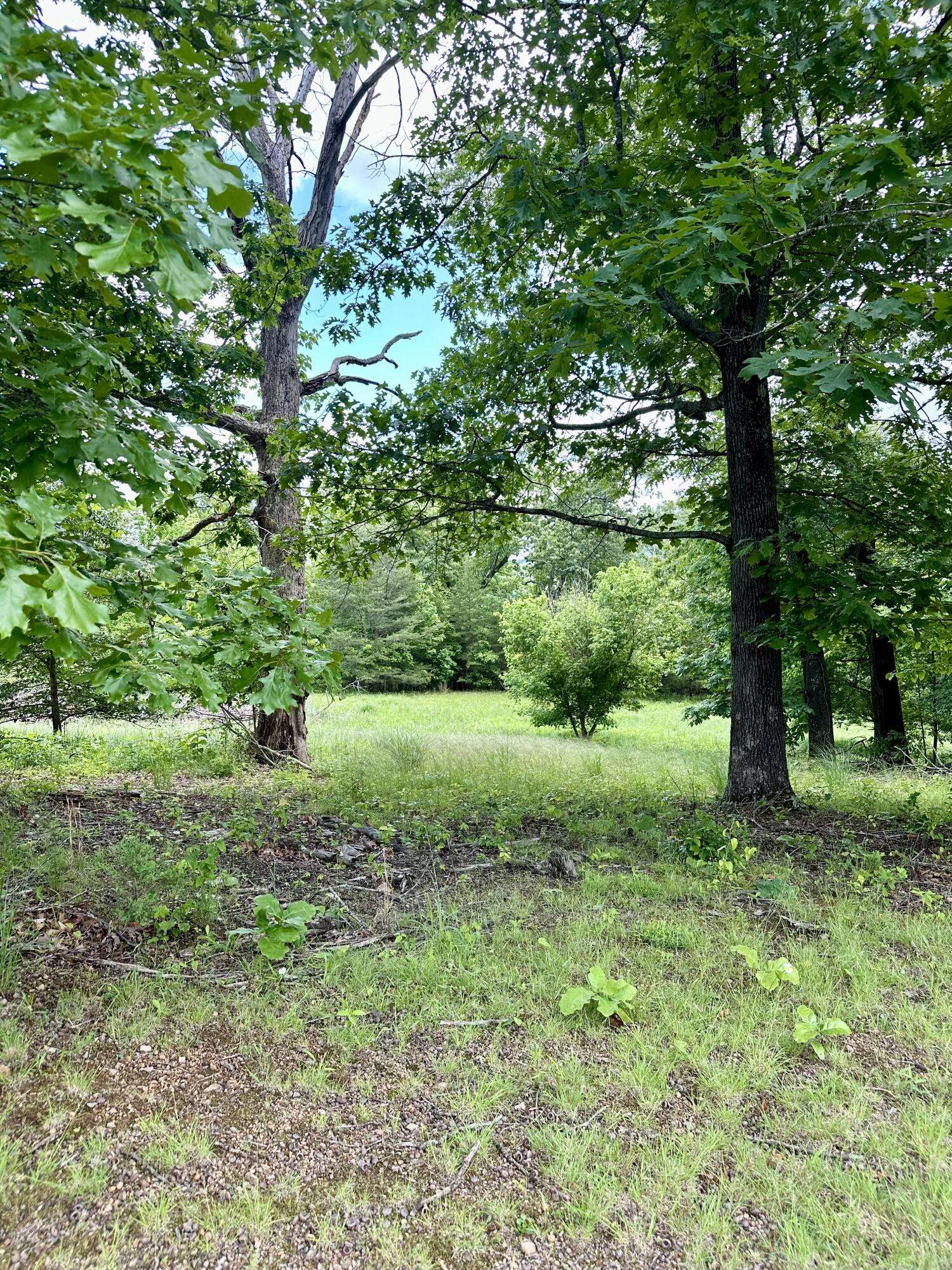 Hardy, VA 24101,Lot 28 Commonwealth DR