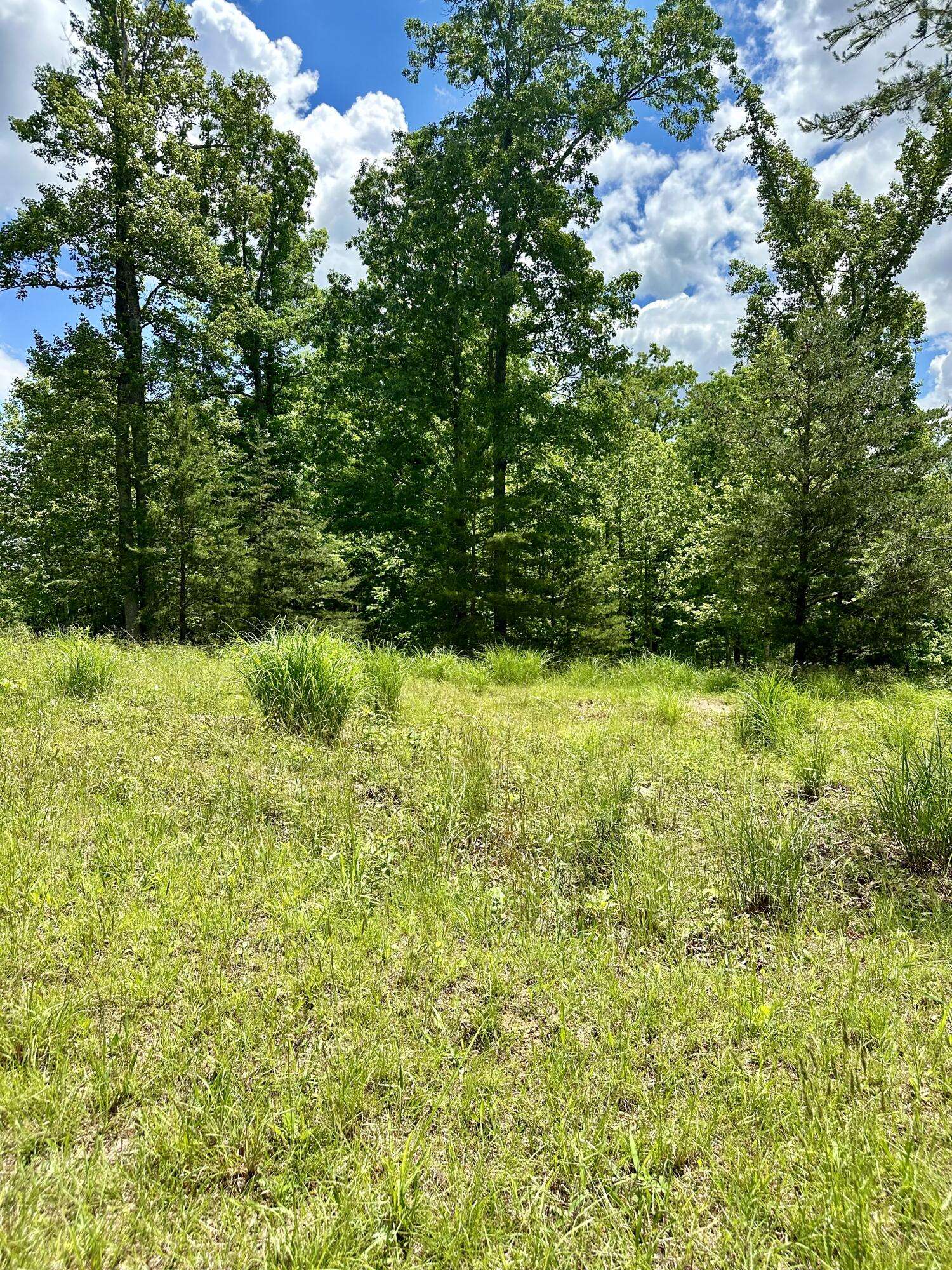 Hardy, VA 24101,Lot 30 Commonwealth DR