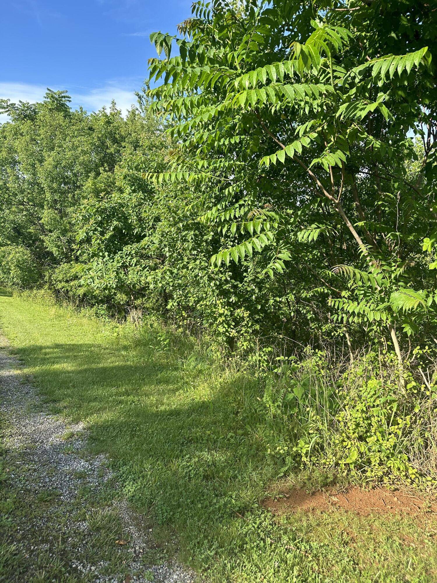 Hardy, VA 24101,Lot 79 Virginia Ridge DR