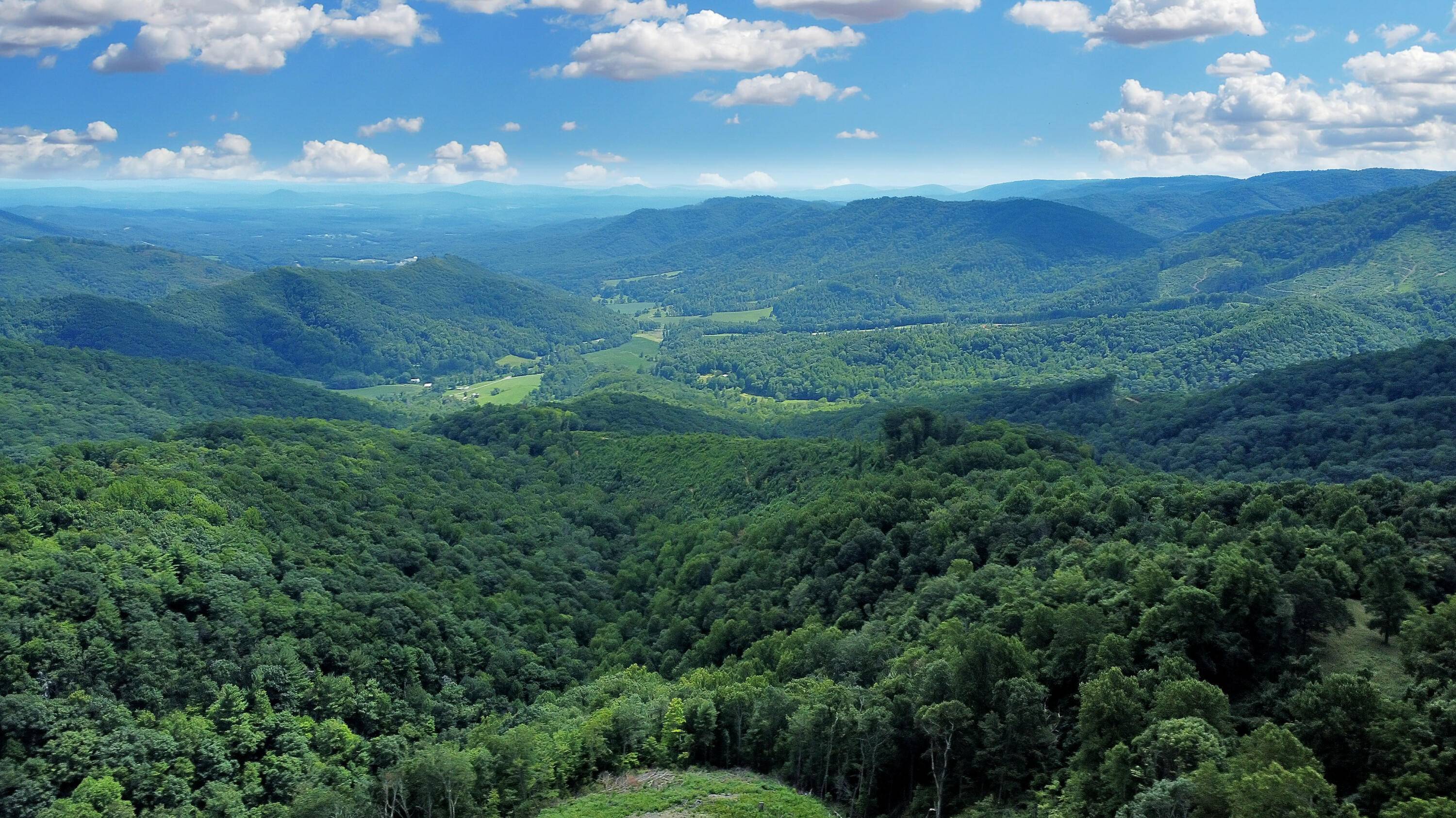 Bent Mountain, VA 24059,TBD Slings Gap RD