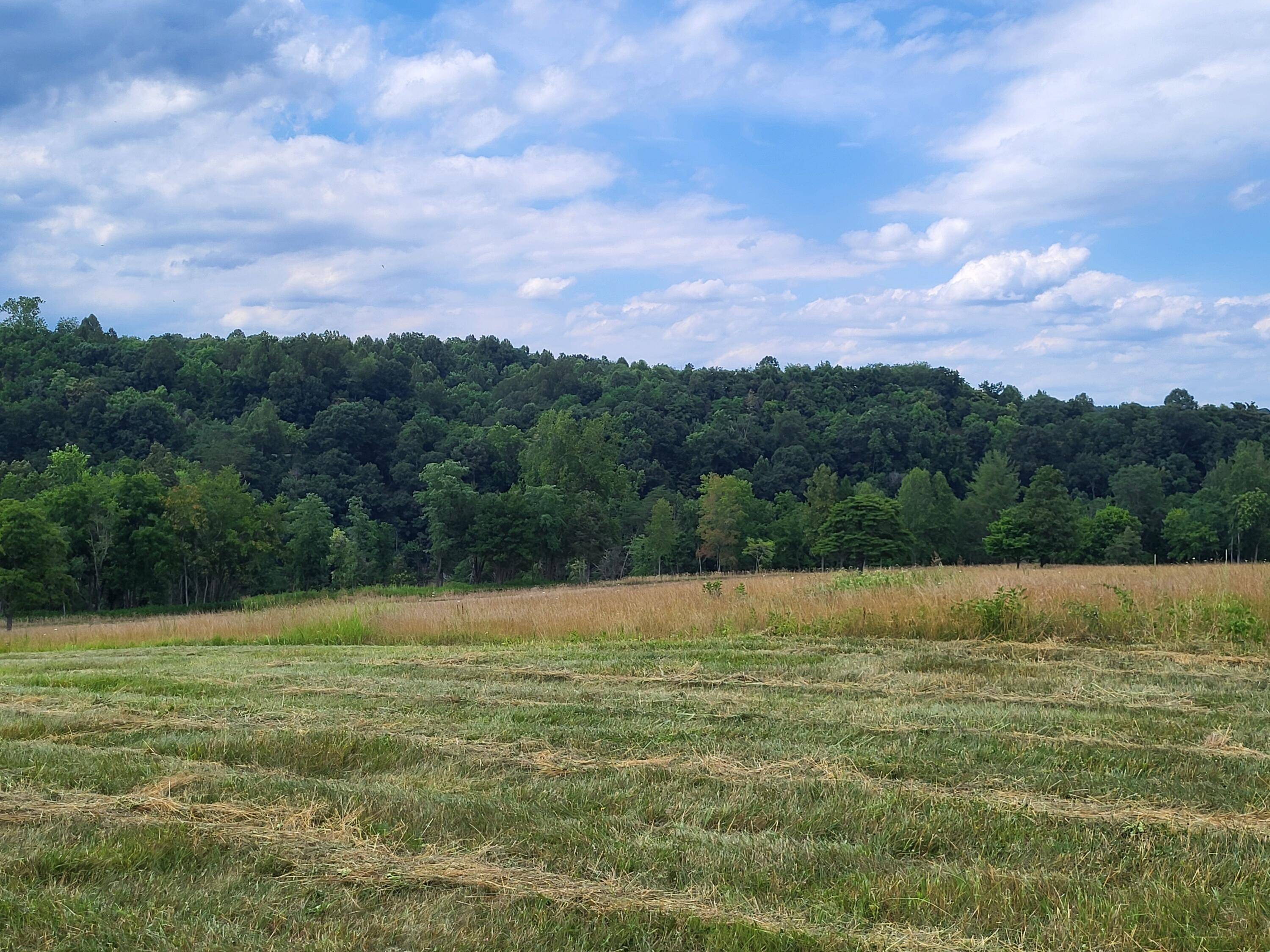 Hardy, VA 24101,Lot 34 Moorman RD