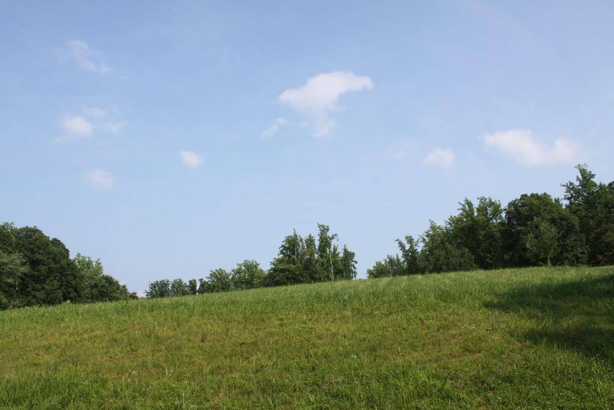 Penhook, VA 24137,Lot 508 South View CIR