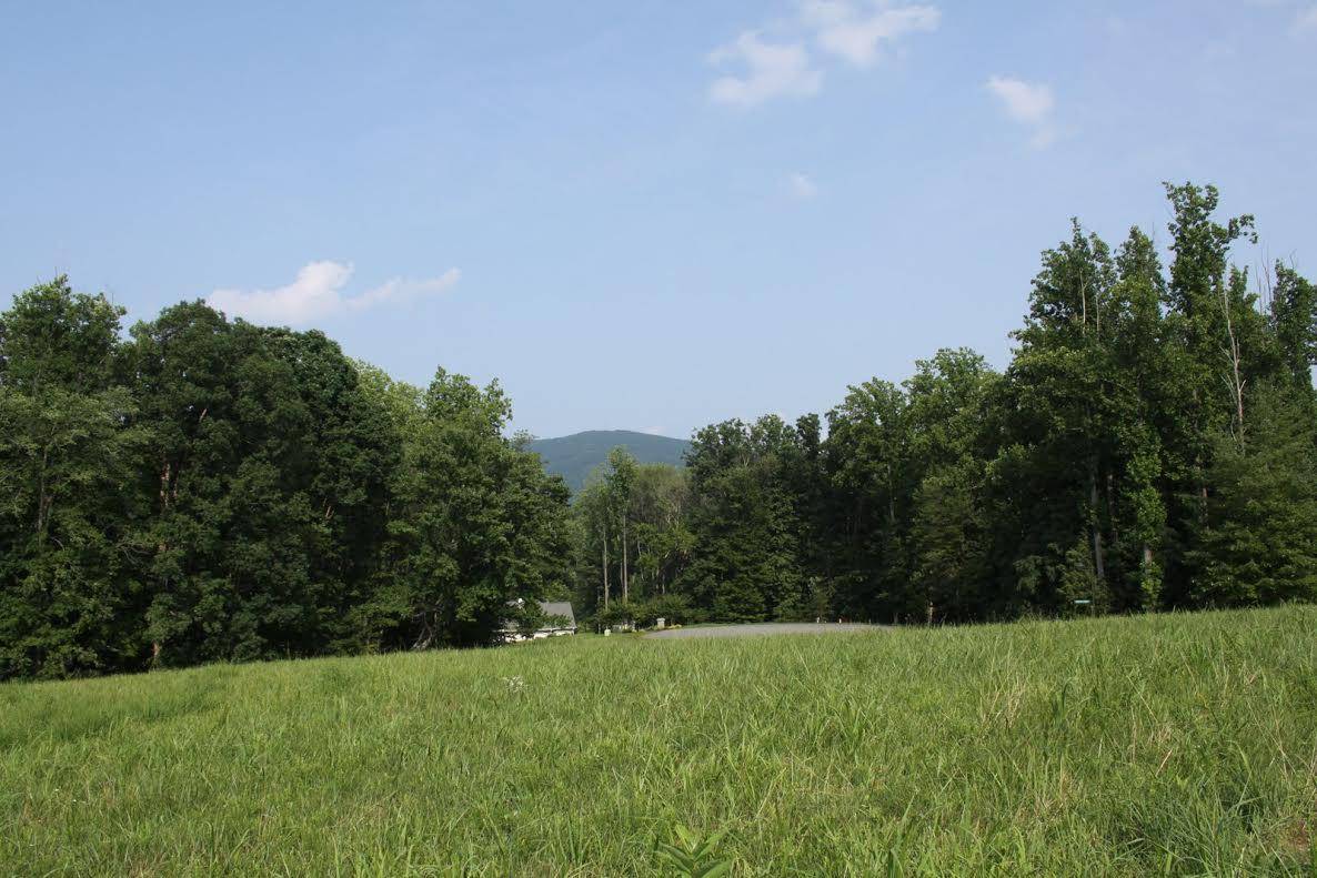 Penhook, VA 24137,Lot 508 South View CIR